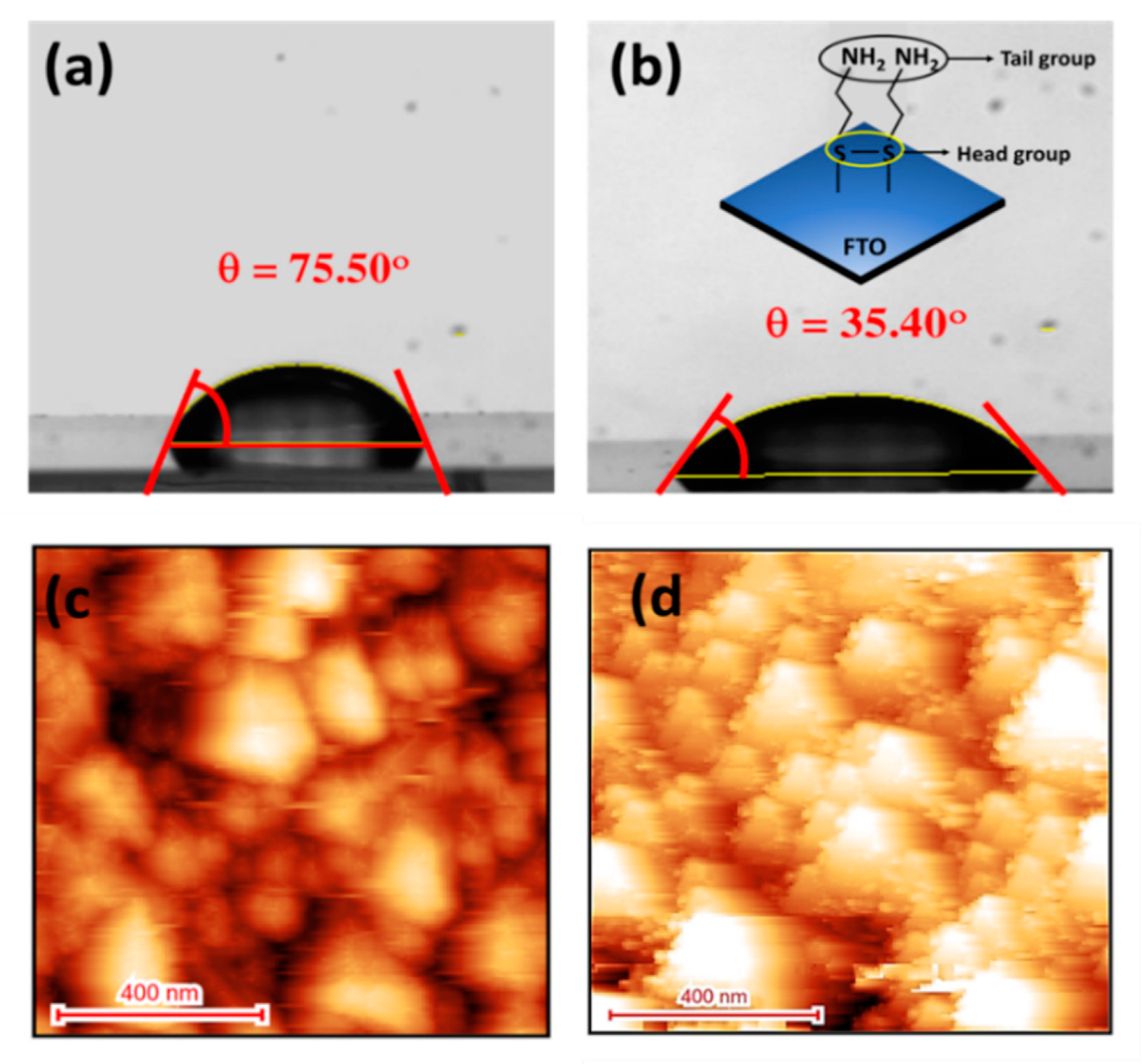 Sensors 20 00617 g002