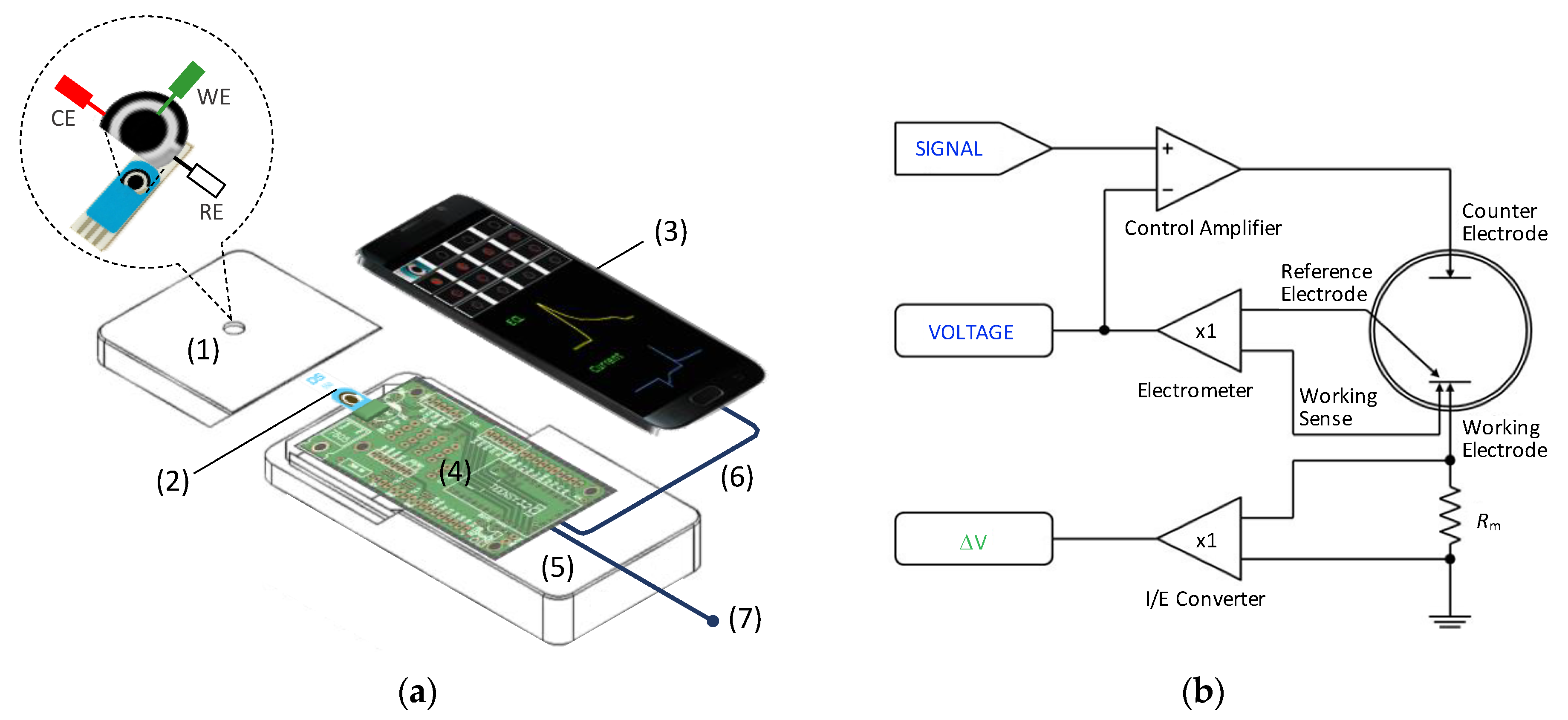 Sensors 20 00625 g002