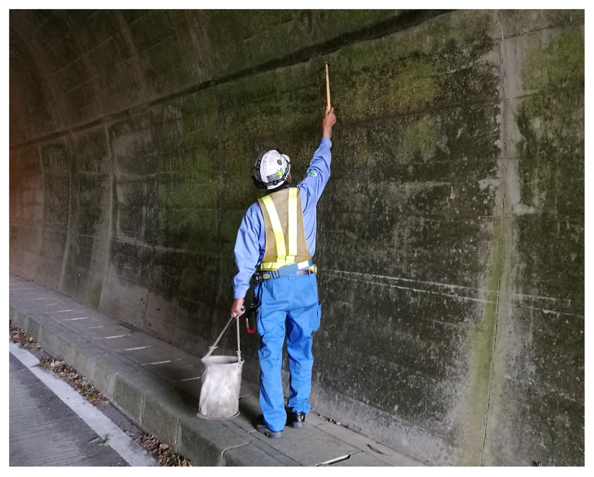 Sensors 20 00629 g001