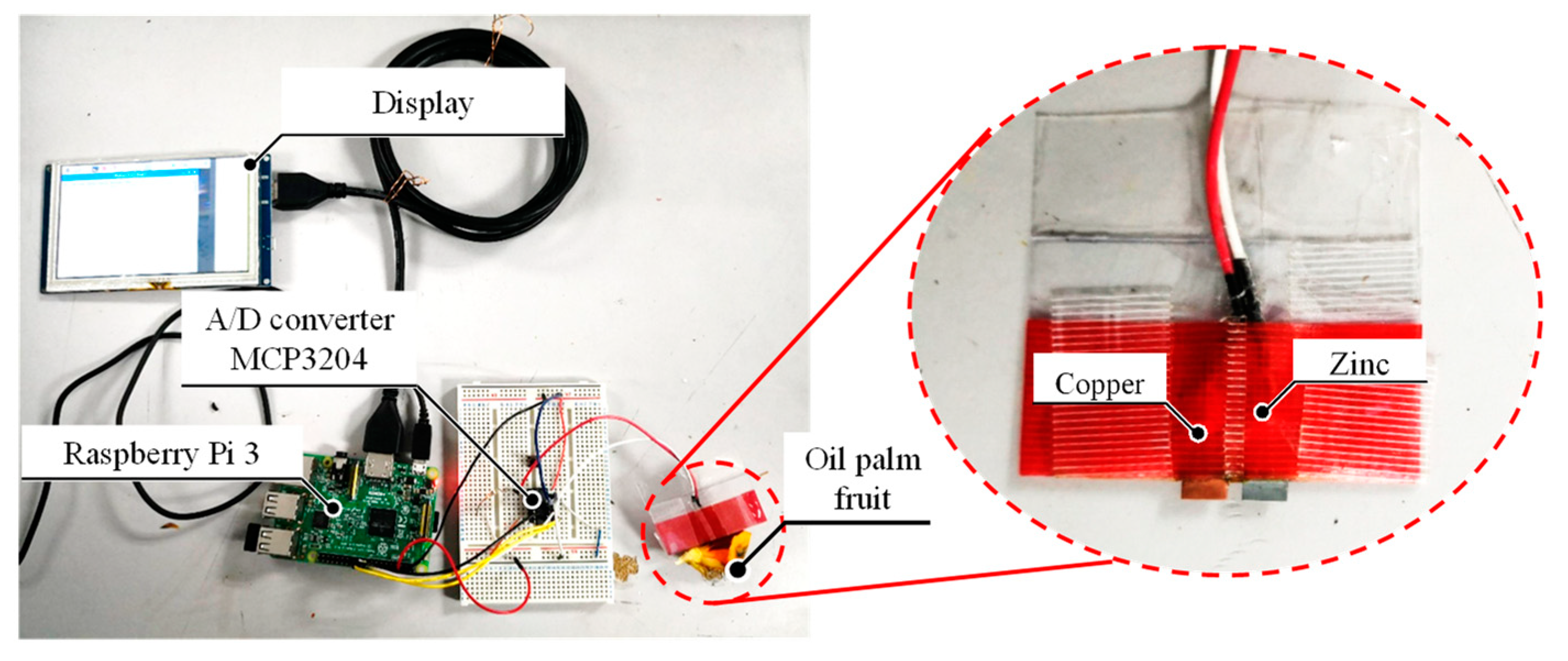Sensors 20 00637 g008
