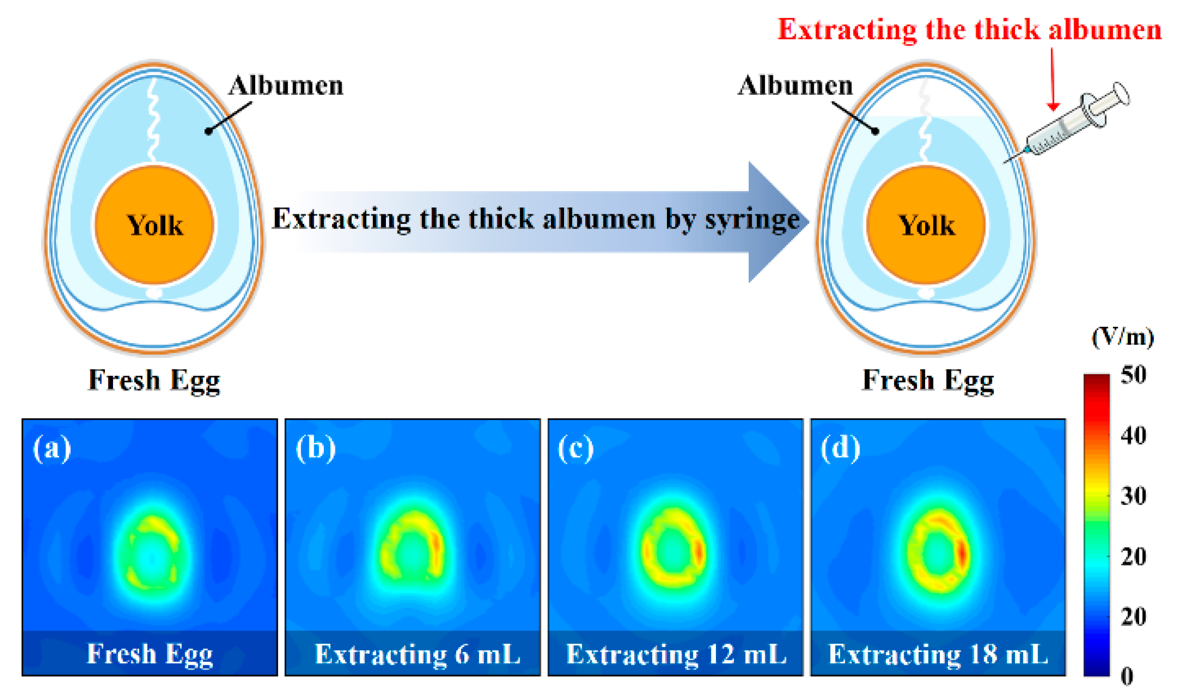Sensors 20 00699 g010