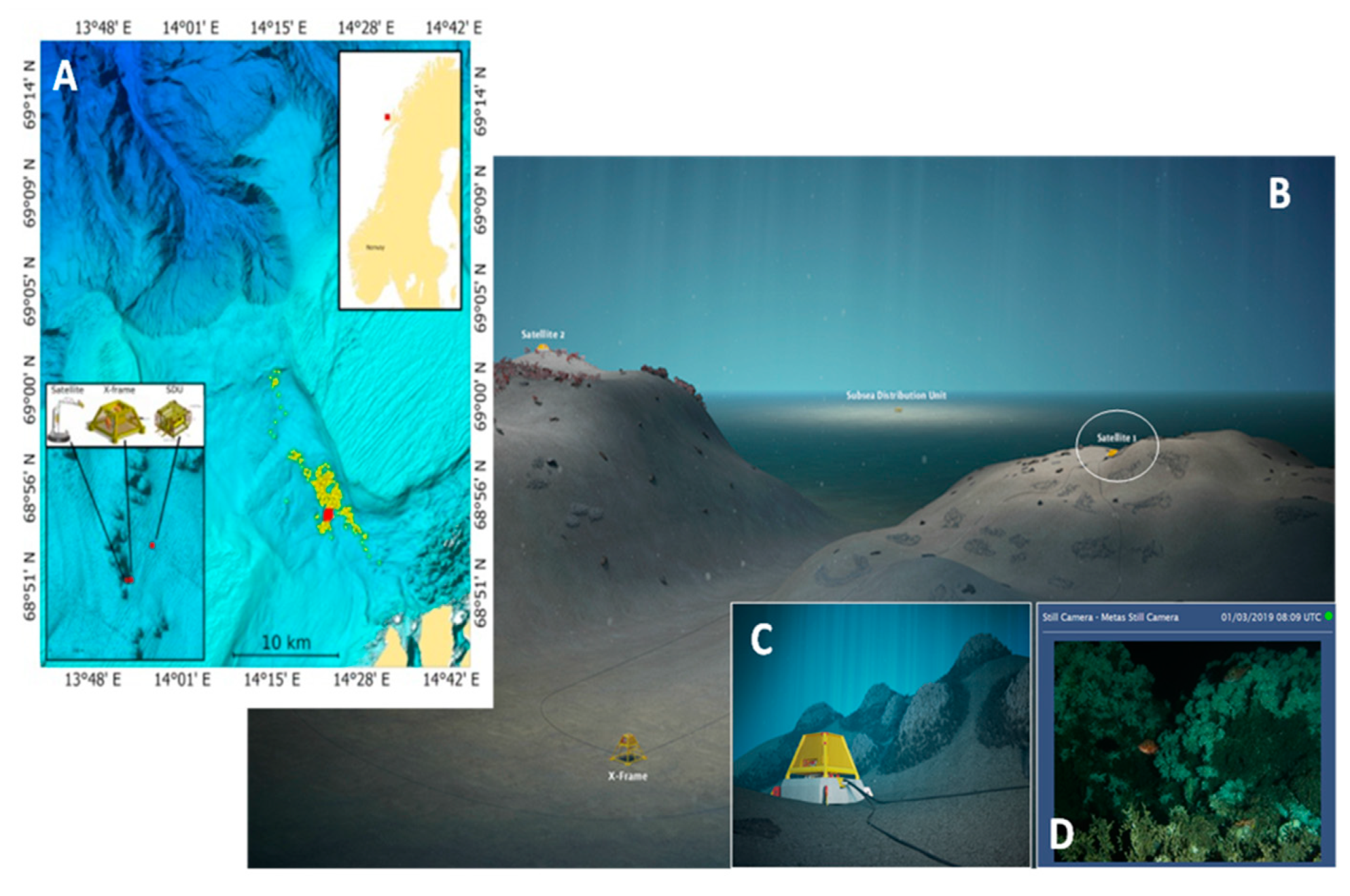Sensors | Free Full-Text | Video Image Enhancement and Machine Learning  Pipeline for Underwater Animal Detection and Classification at Cabled  Observatories