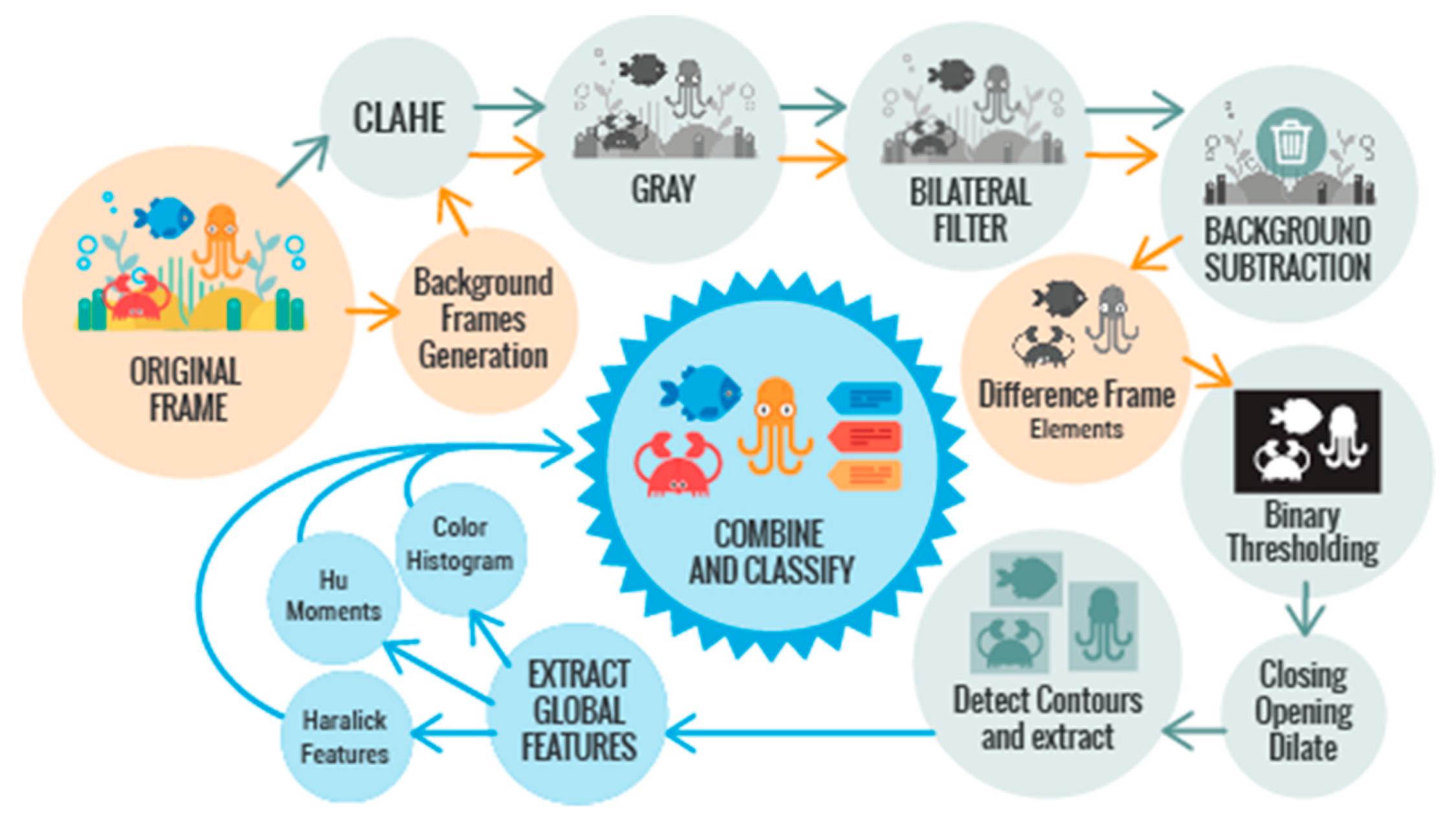 Sensors 20 00726 g003