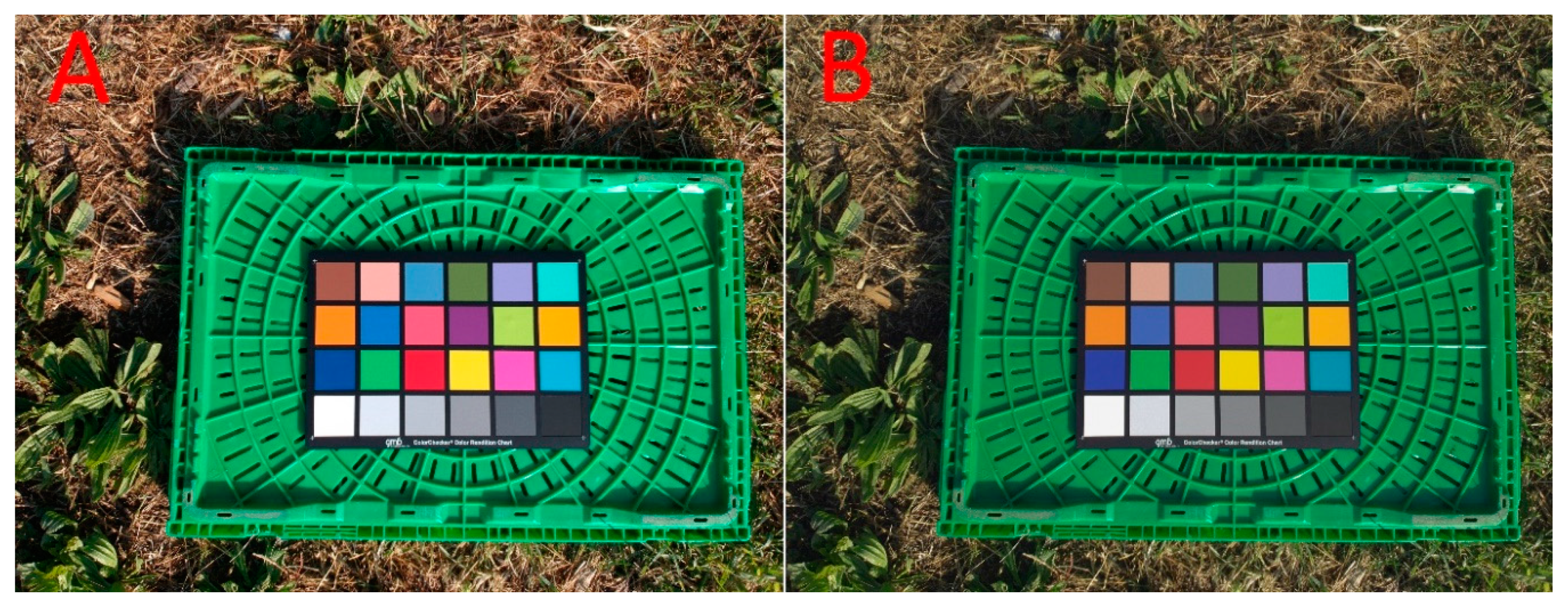 Sensors 20 00728 g002