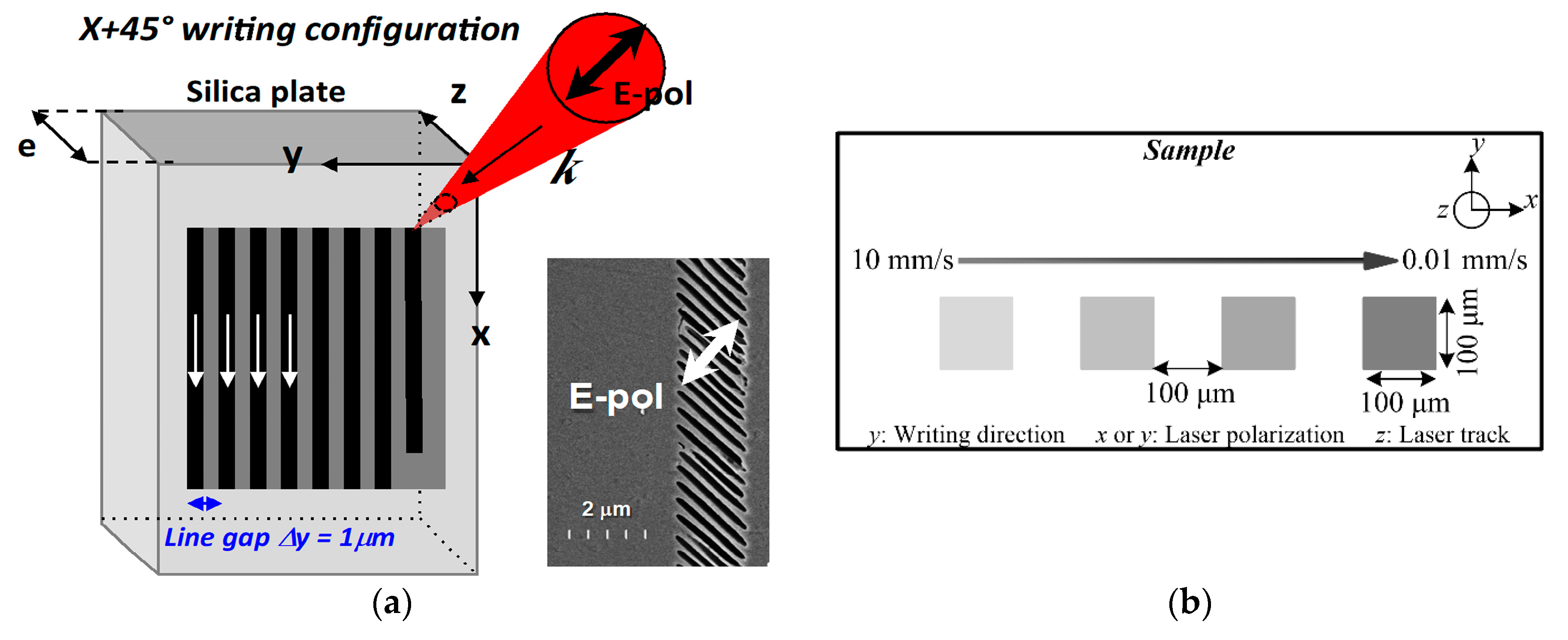 Sensors 20 00762 g001 Sensors 20 00762 g001