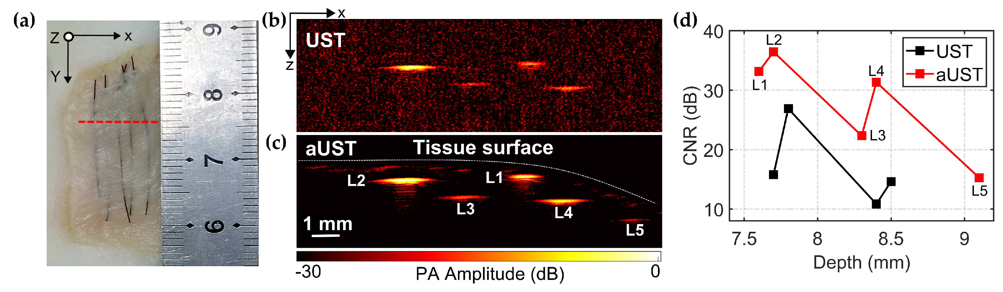 Sensors 20 00766 g010 Sensors 20 00766 g010
