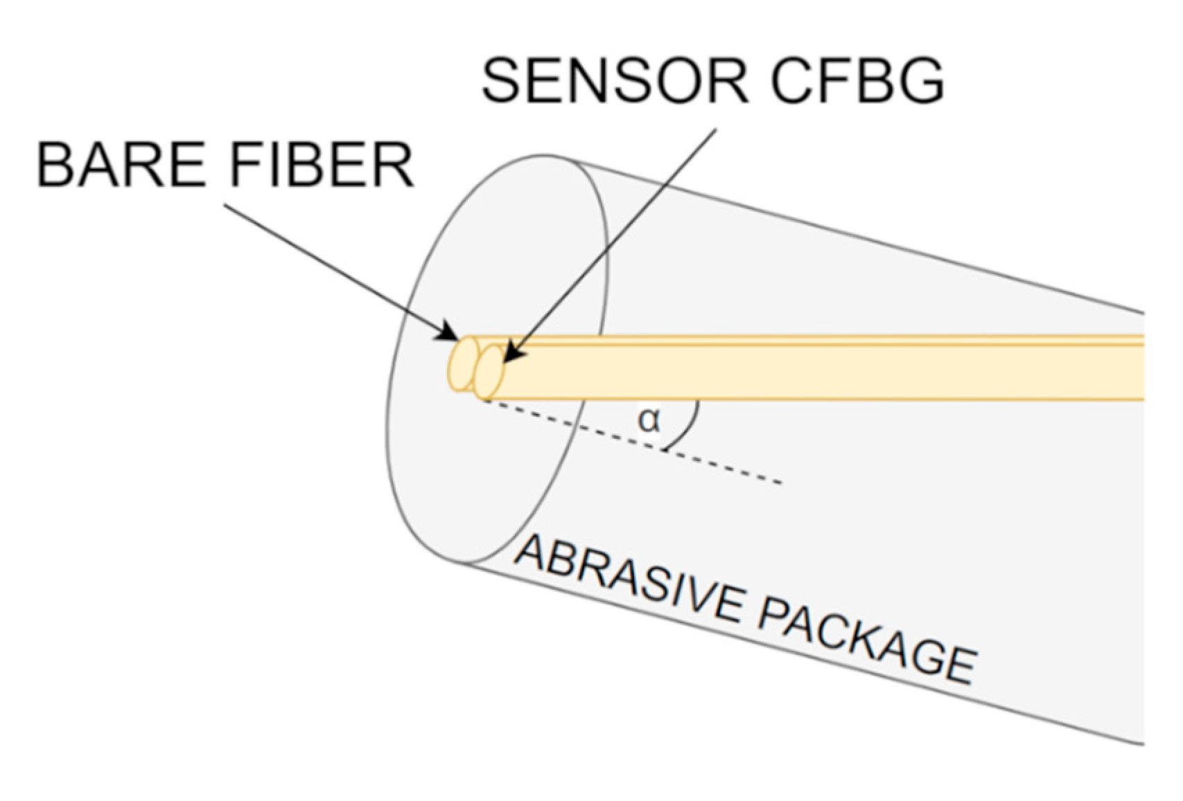 Sensors 20 00770 g012