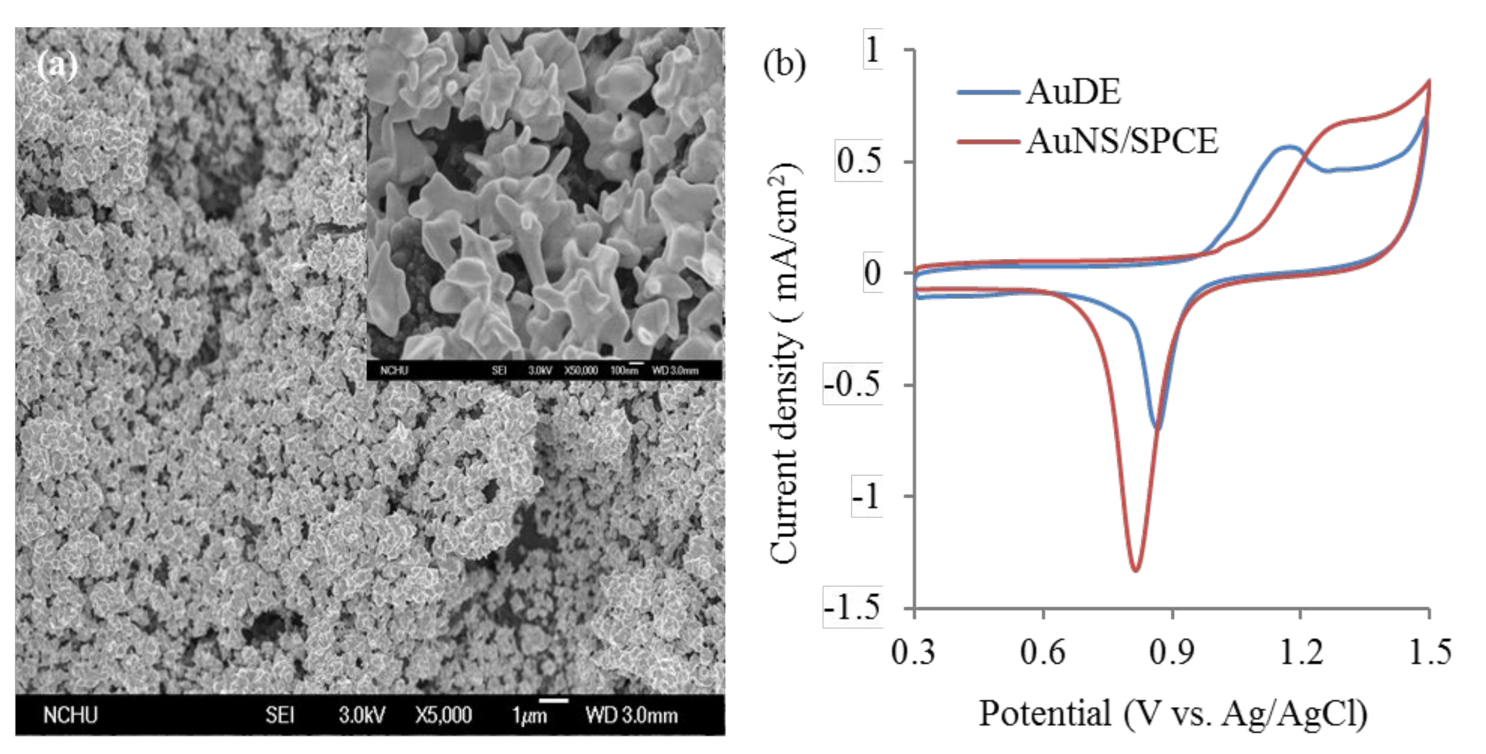 Sensors 20 00771 g001 Sensors 20 00771 g001