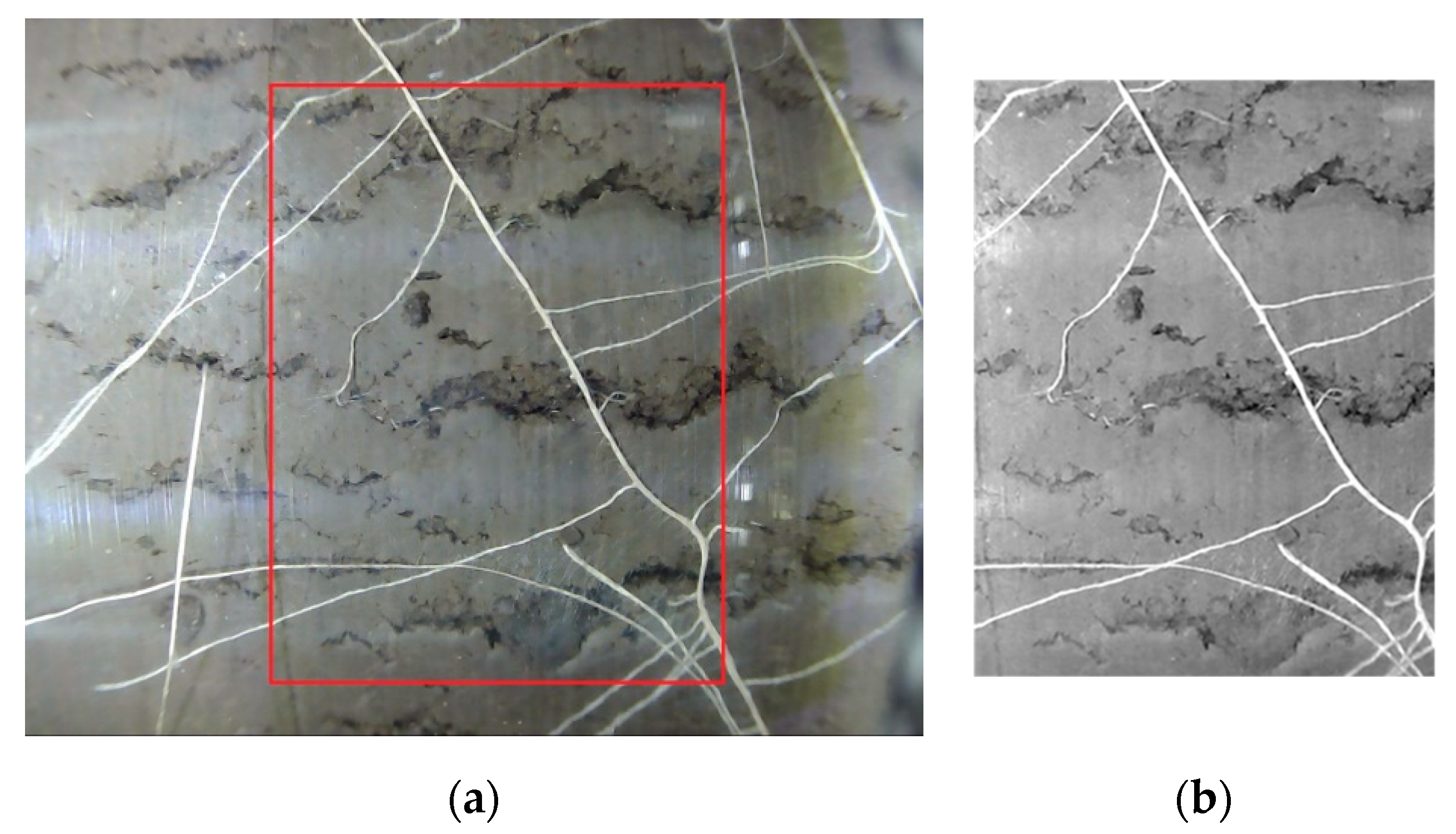 Sensors 20 00787 g009 Sensors 20 00787 g009