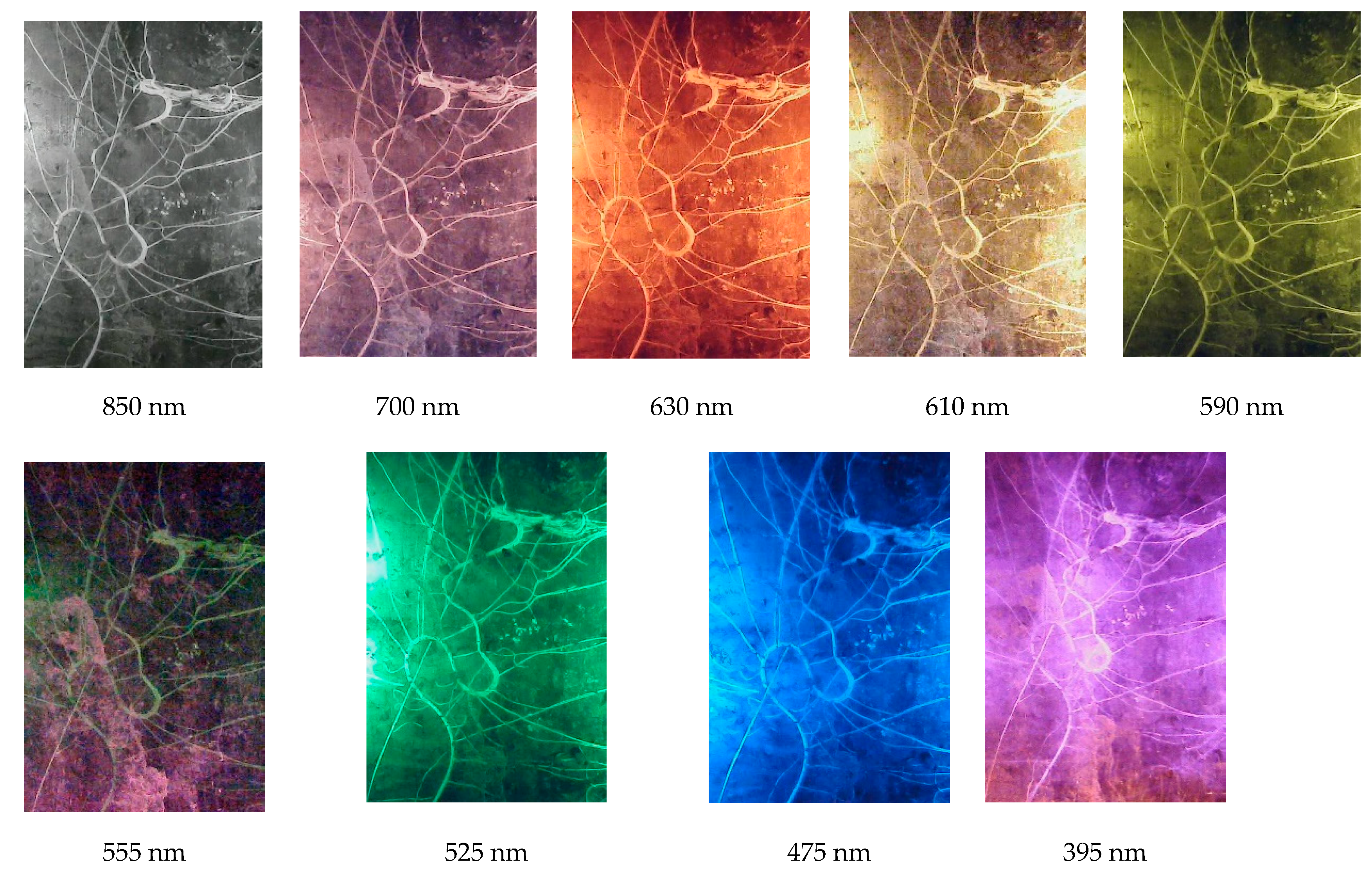 Sensors 20 00787 g011 Sensors 20 00787 g011