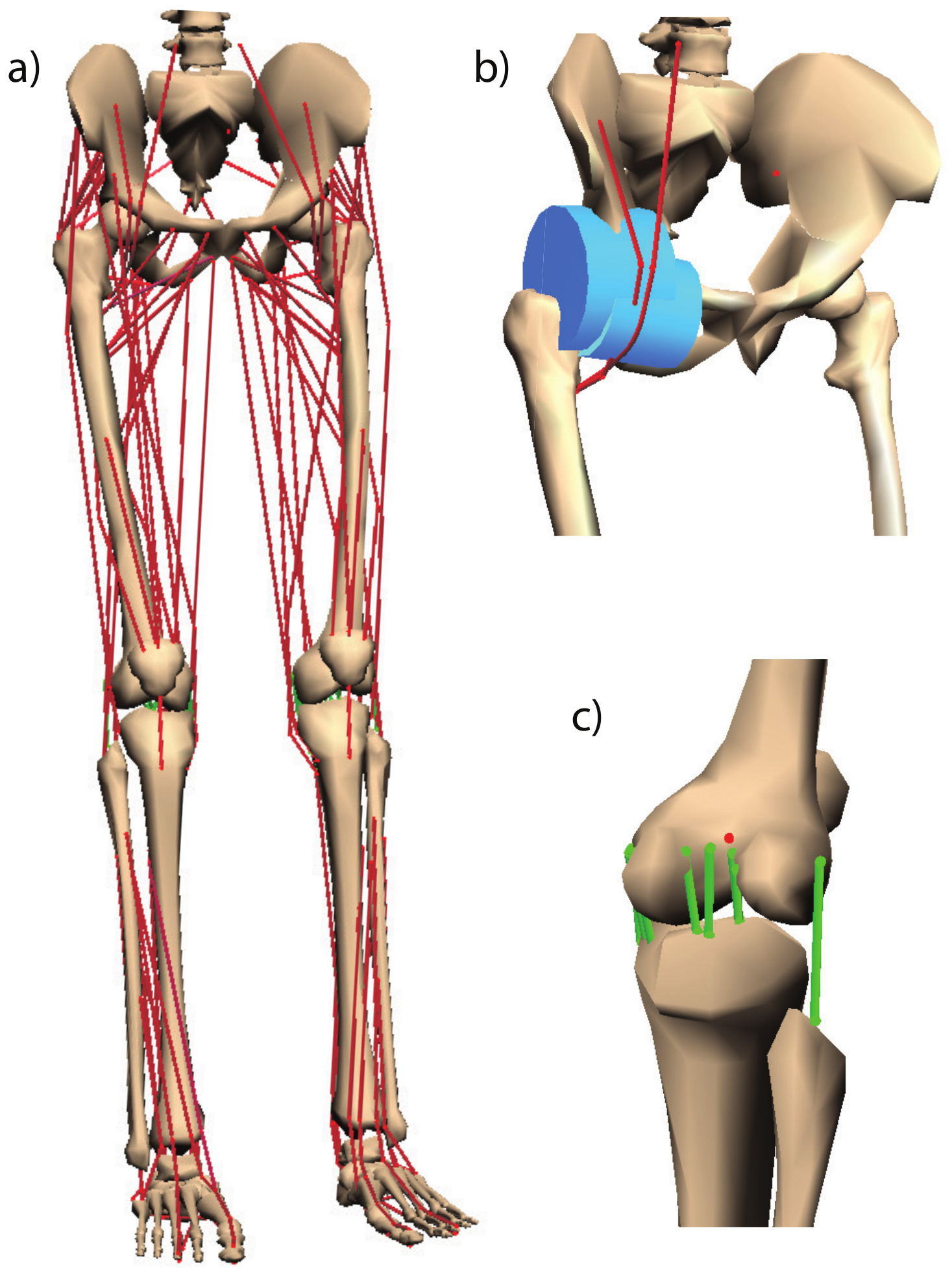 Sensors 20 00789 g006