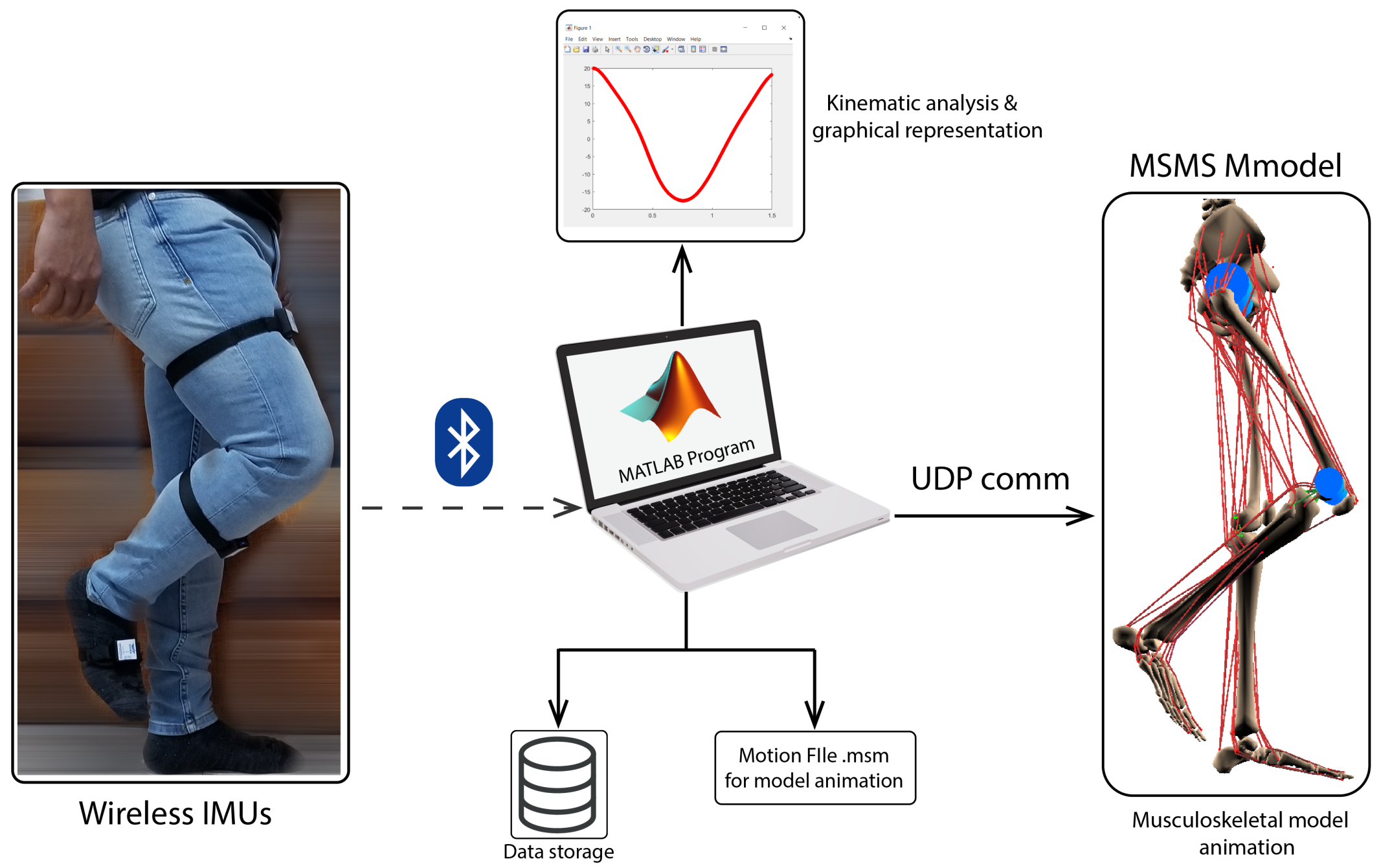 Sensors 20 00789 g008