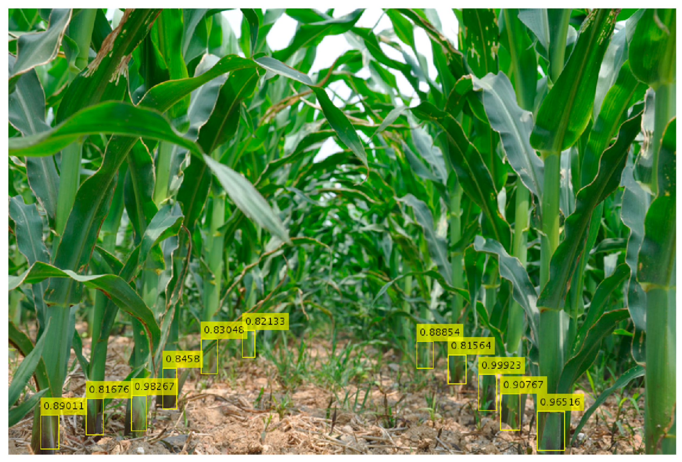 Sensors 20 00797 g006 Sensors 20 00797 g006