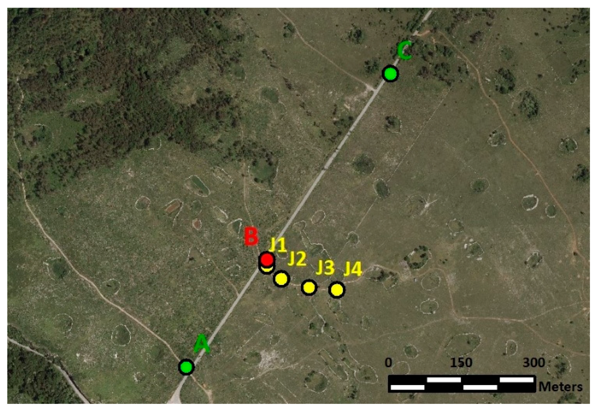 Sensors 20 00814 g005