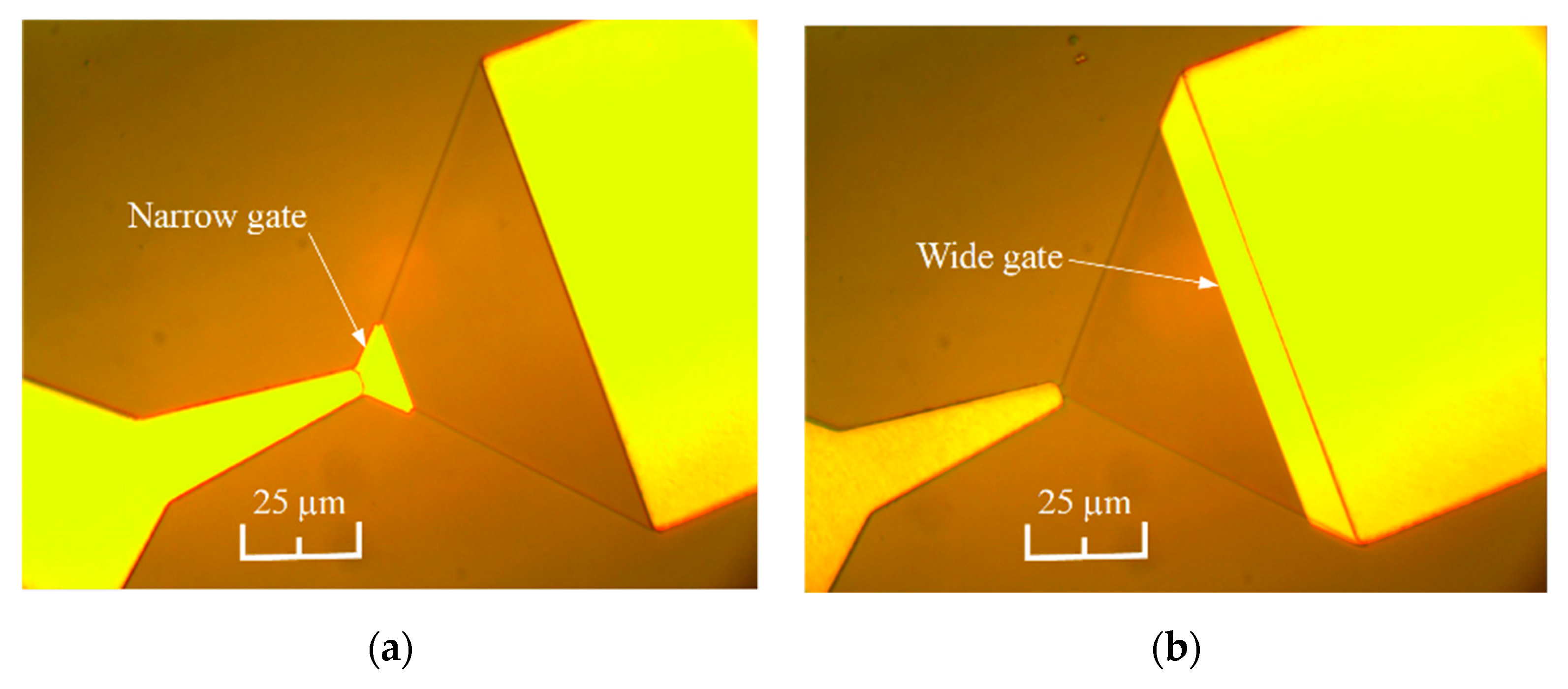 Sensors 20 00829 g003