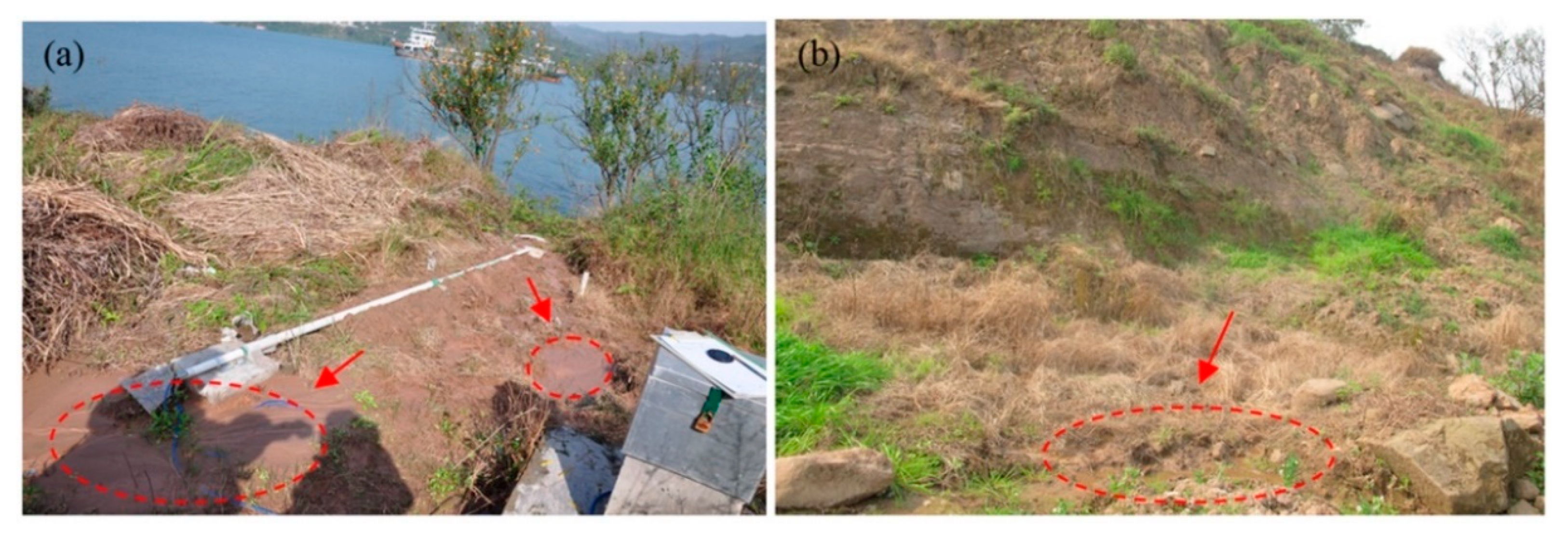 Sensors 20 00845 g009