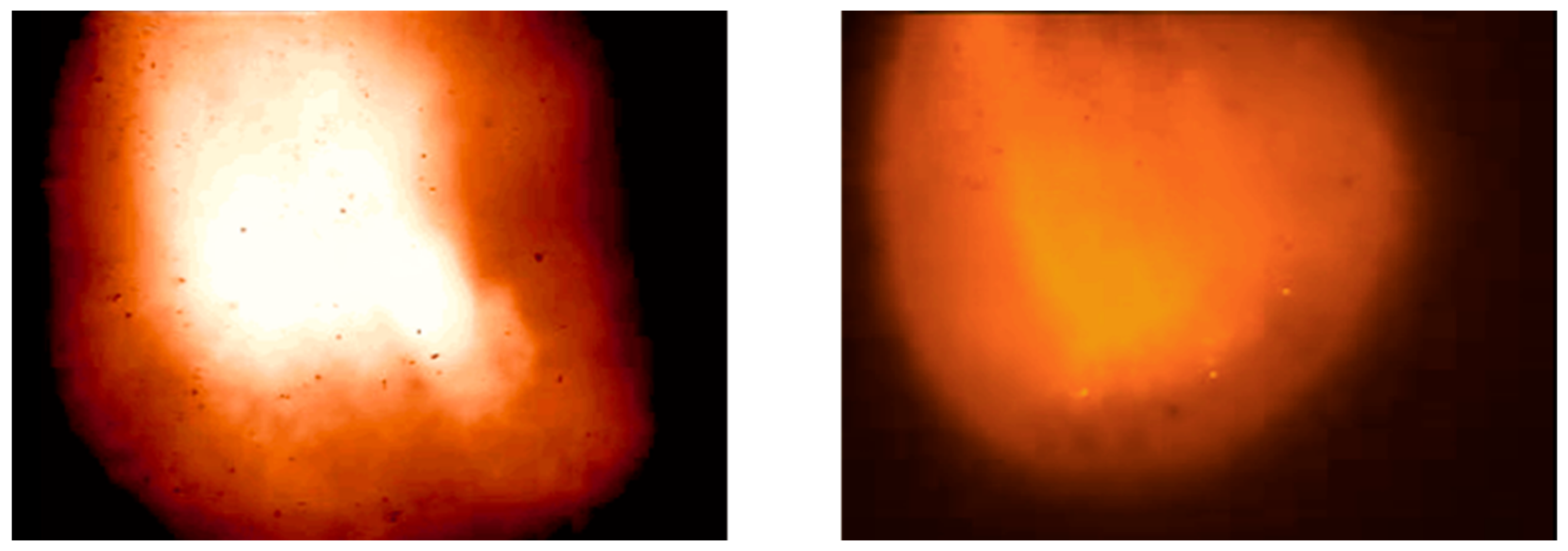 Sensors 20 00869 g008