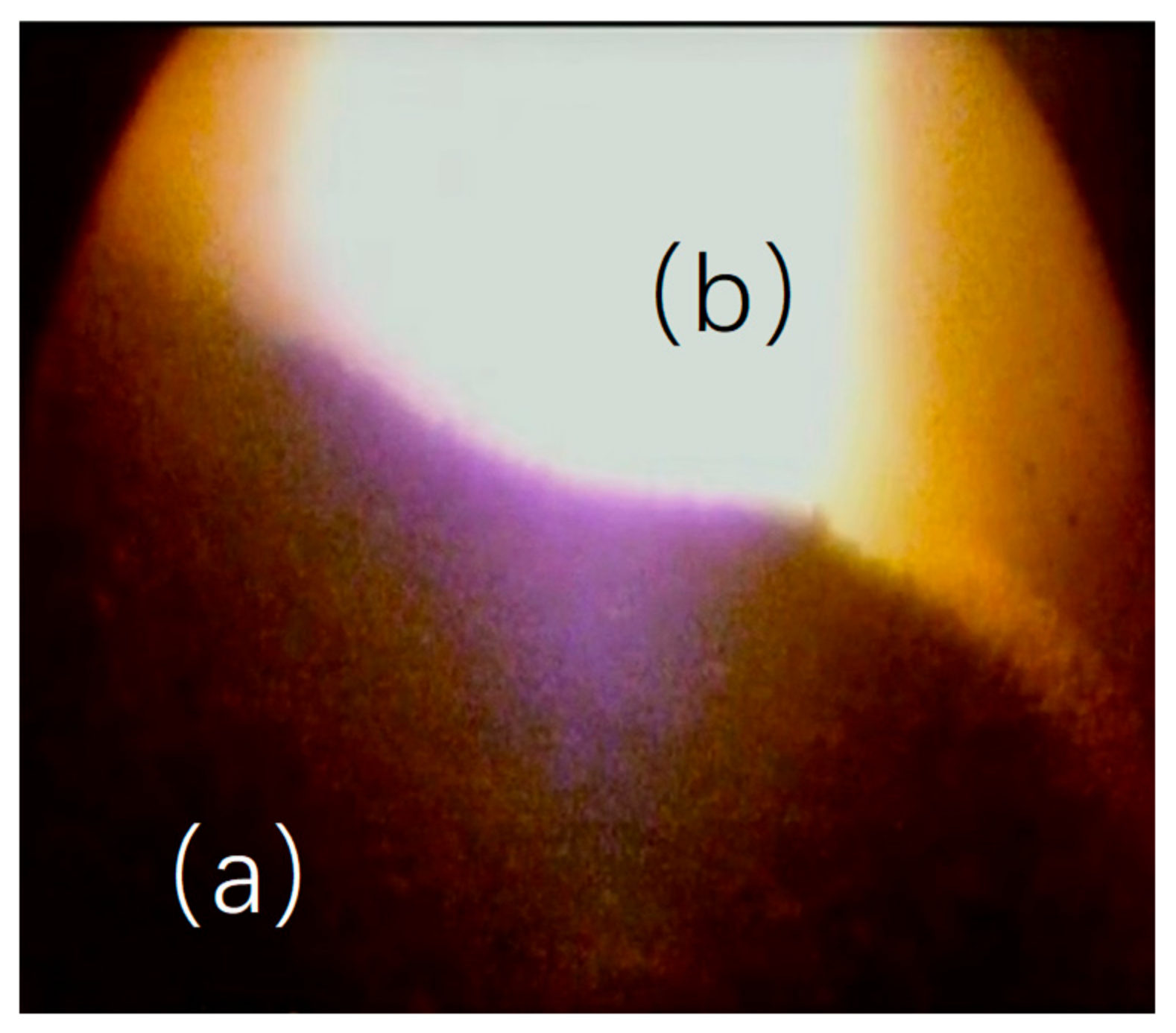 Sensors 20 00869 g012