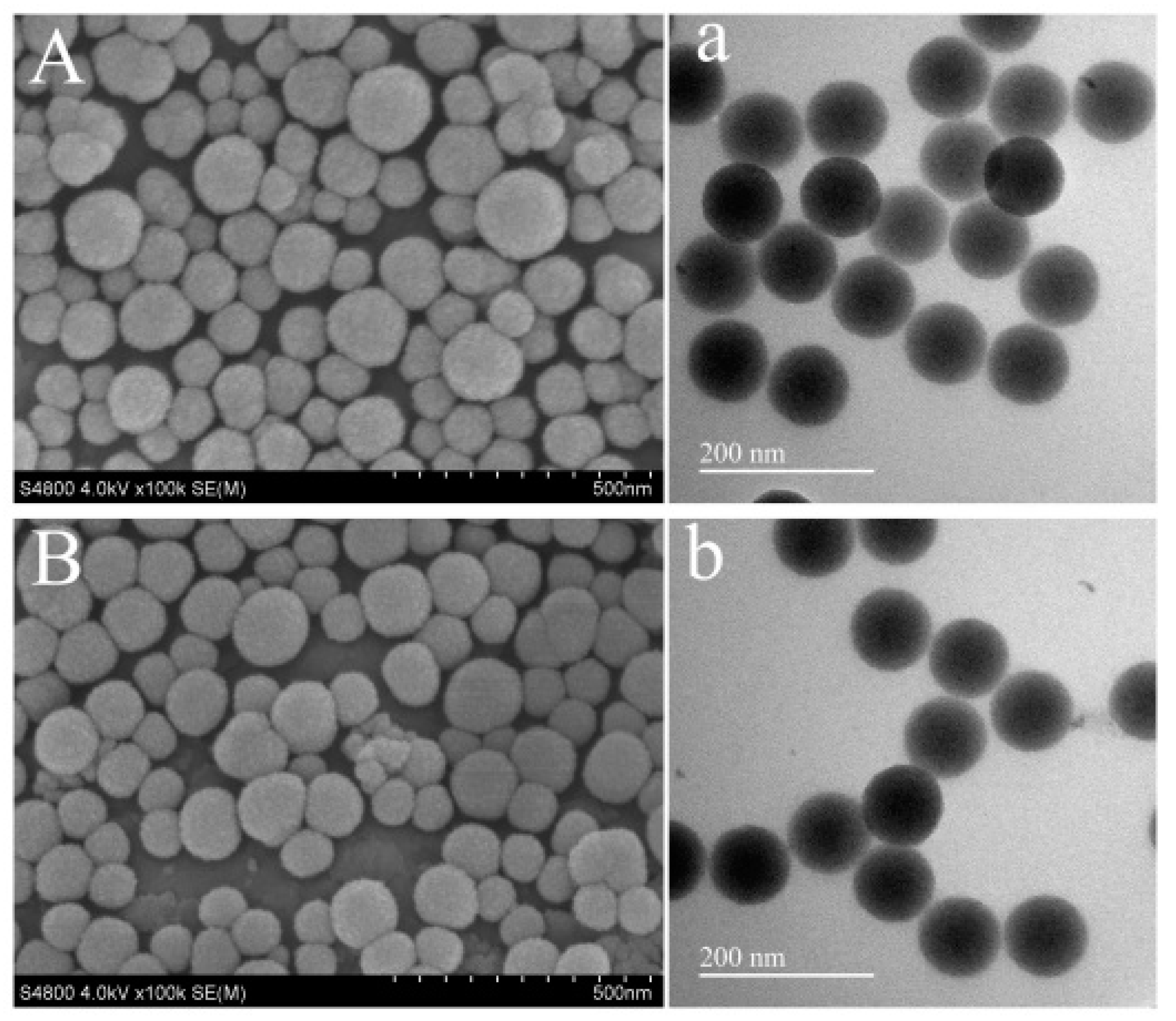 Sensors 20 00884 g001 Sensors 20 00884 g001