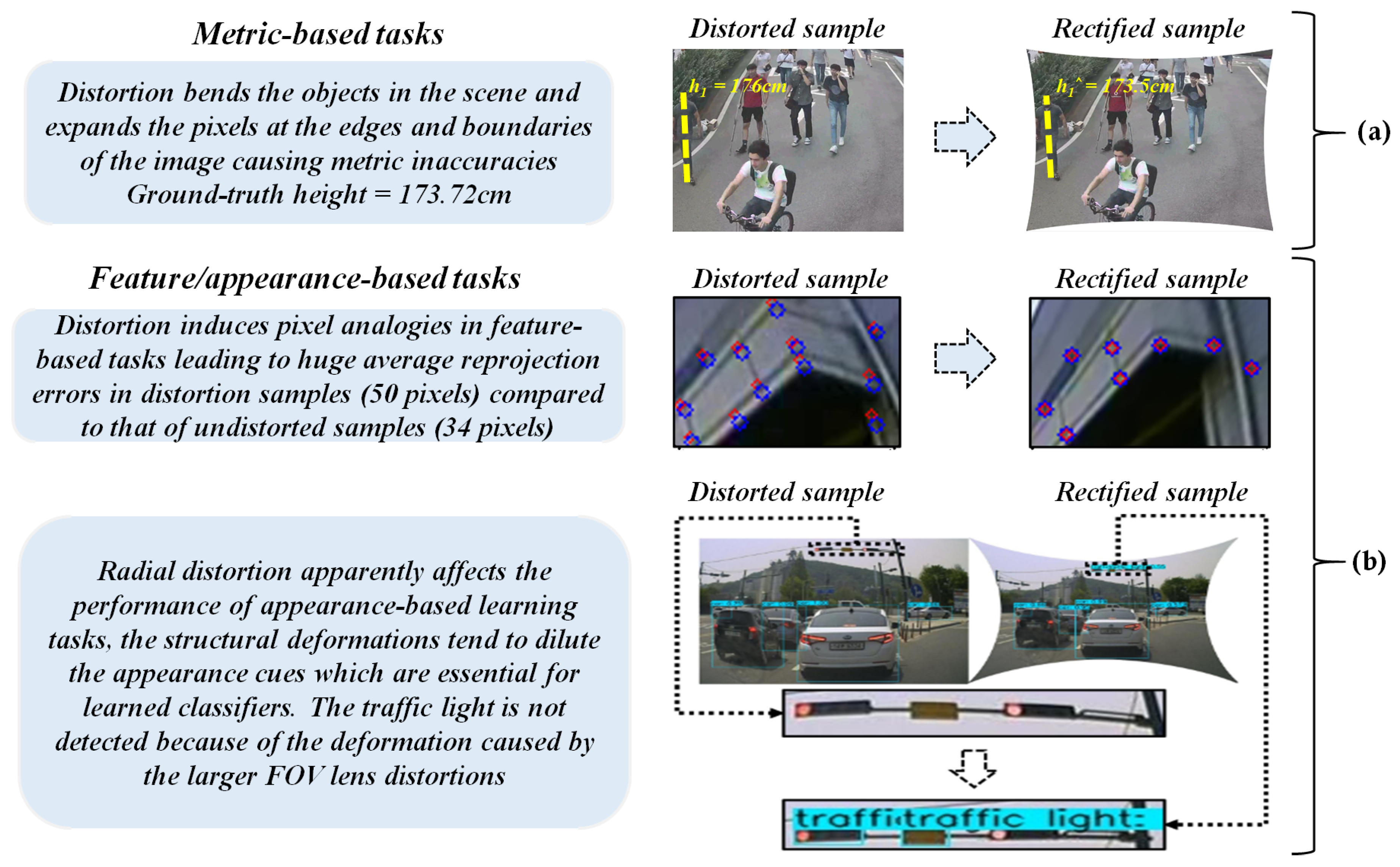 line based camera calibration with lens distortion correction from a