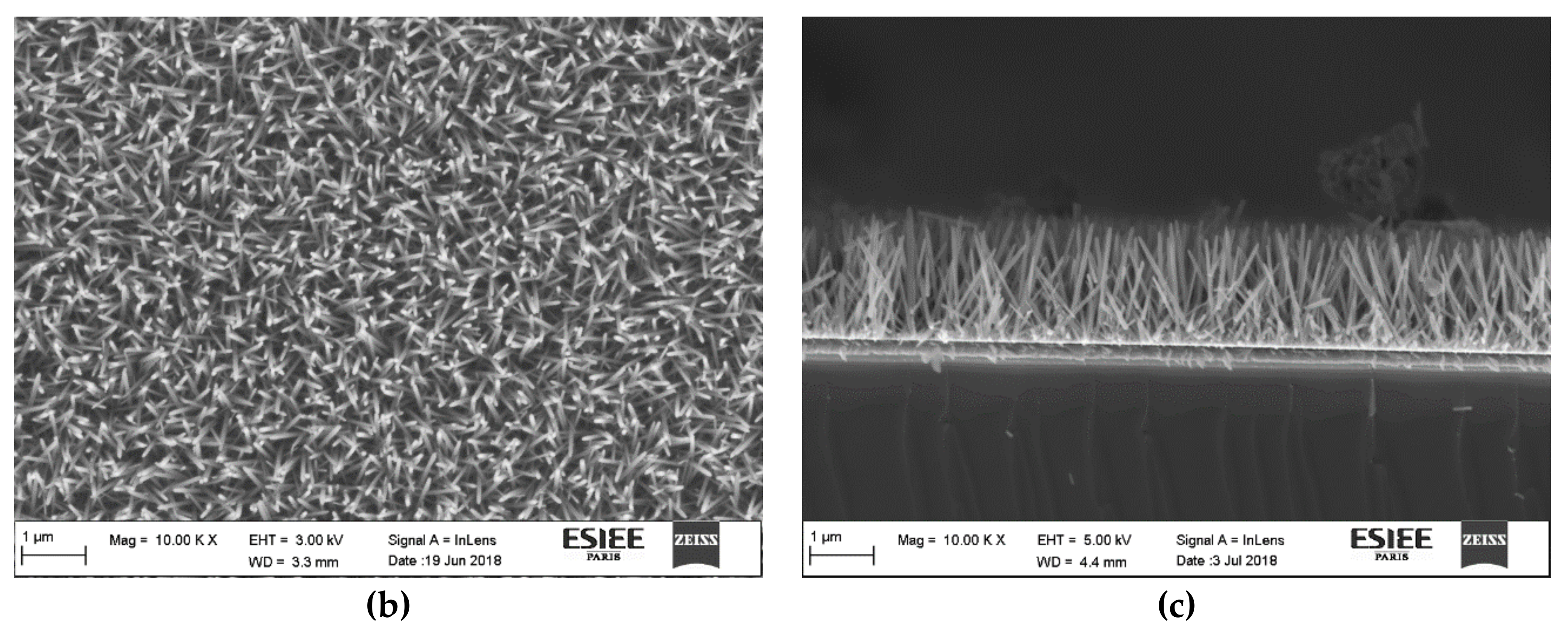 Sensors 20 00934 g002b Sensors 20 00934 g002b