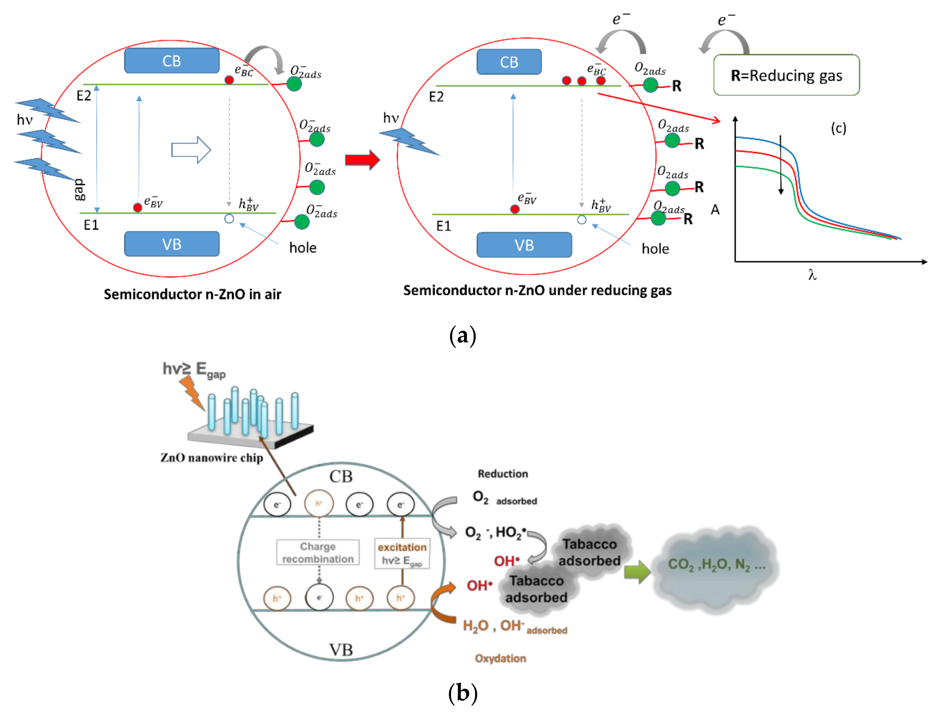 Sensors 20 00934 g003 Sensors 20 00934 g003
