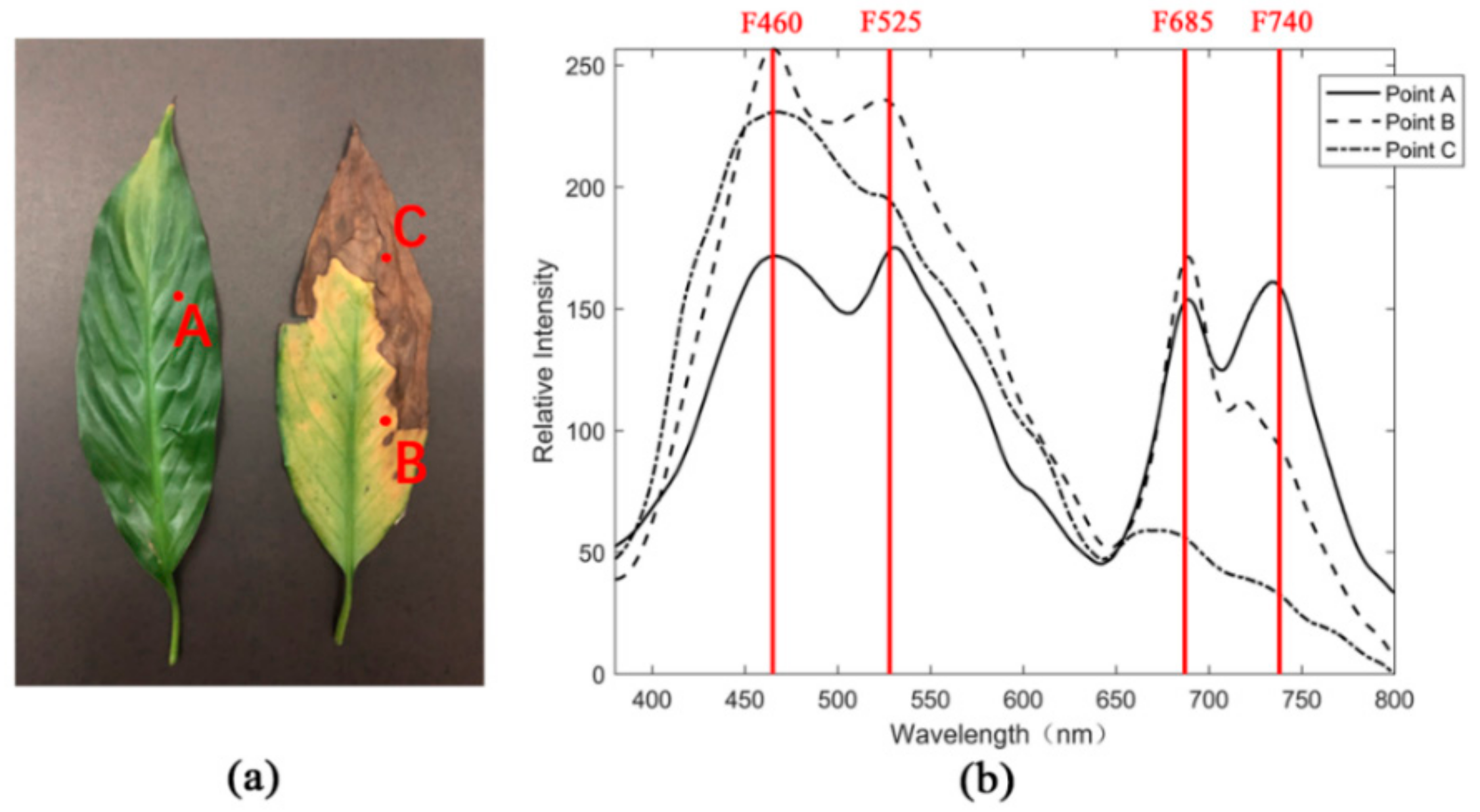 Sensors 20 00935 g001 Sensors 20 00935 g001