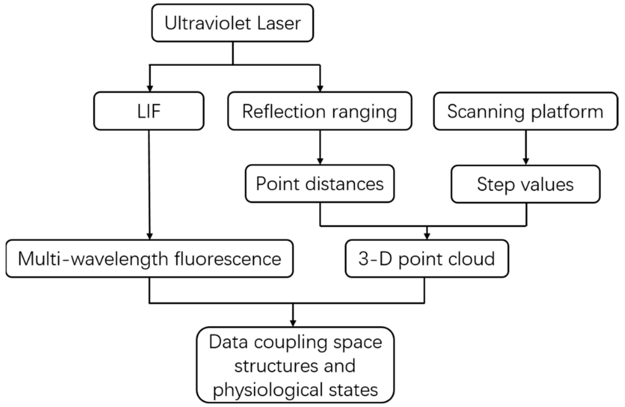 Sensors 20 00935 g003 Sensors 20 00935 g003
