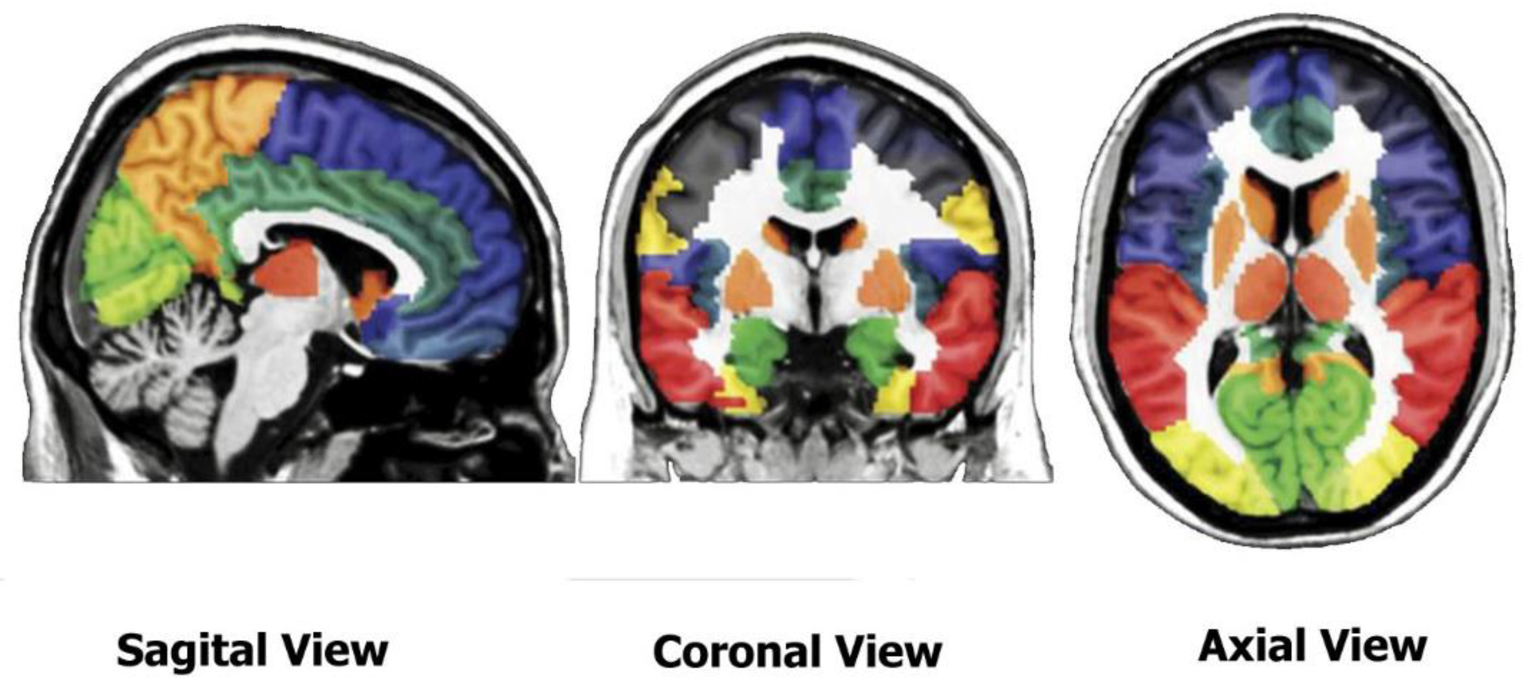 Sensors 20 00941 g002