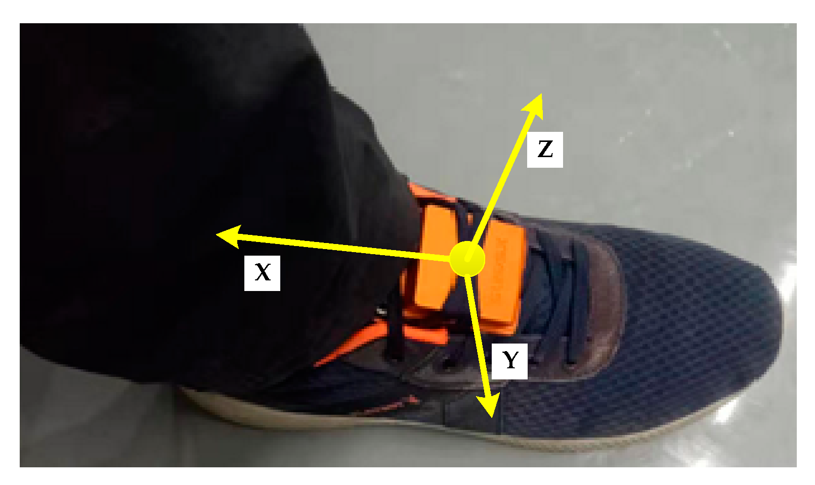 Sensors 20 00951 g008