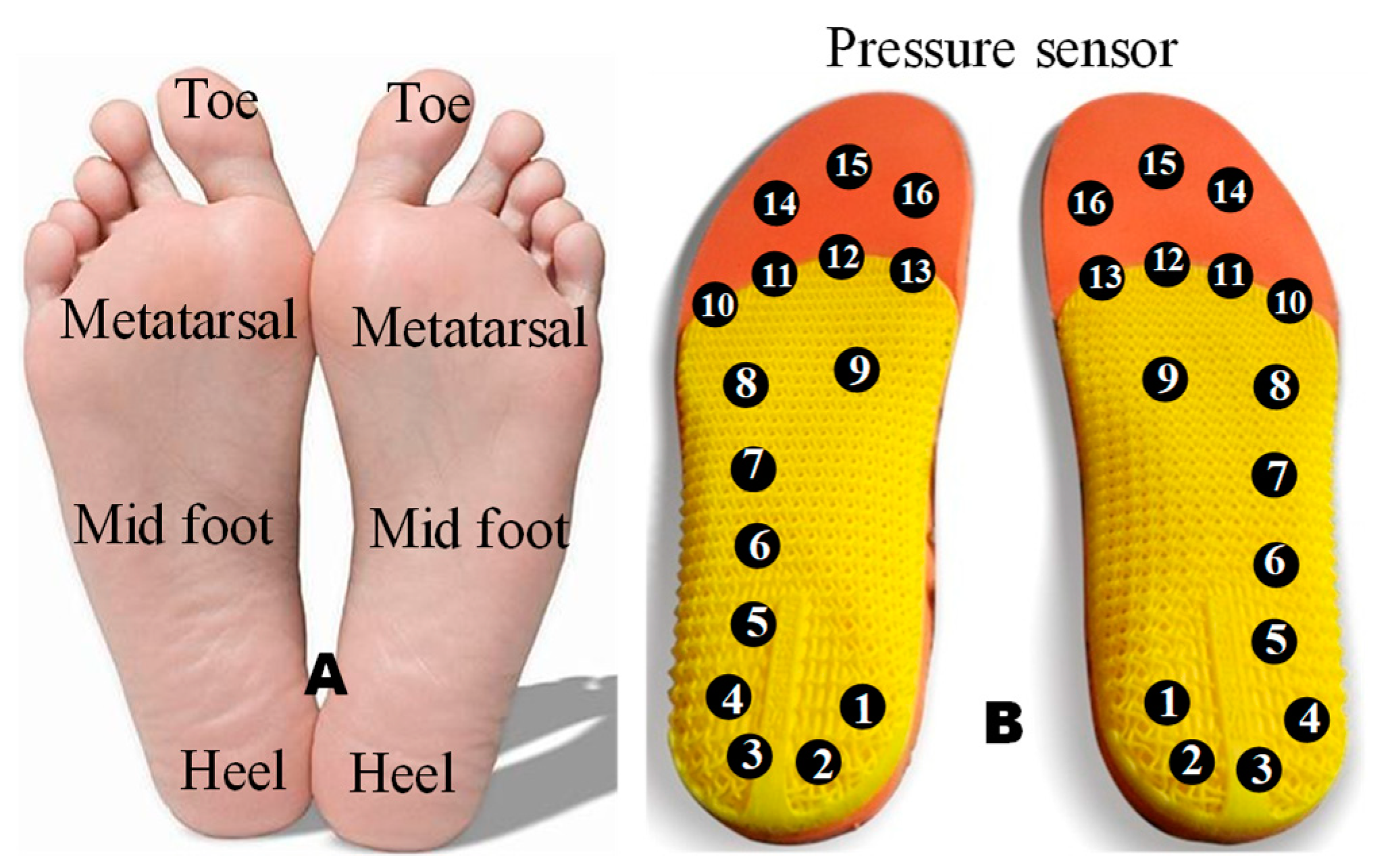 Sensors 20 00957 g006