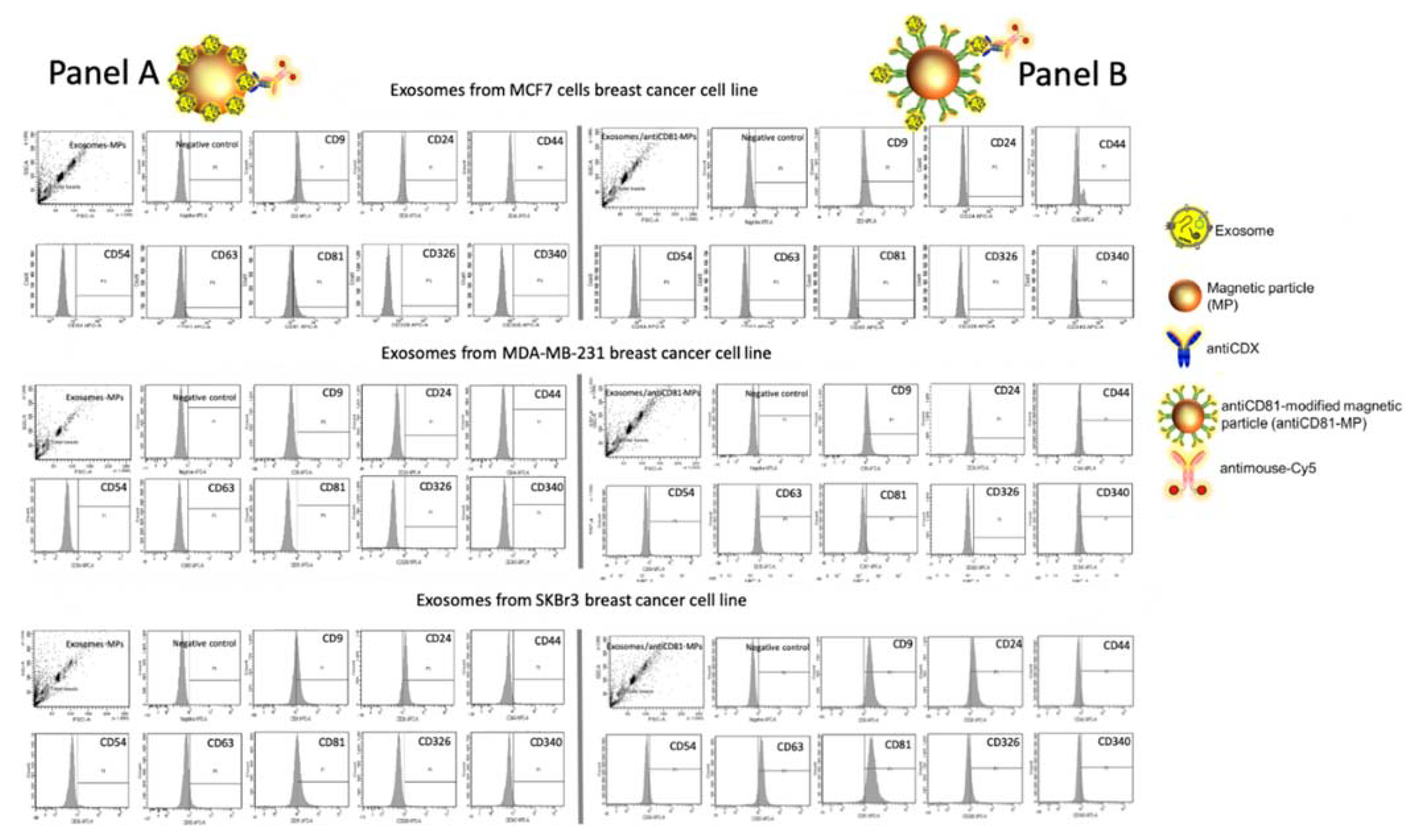 Sensors 20 00965 g007 Sensors 20 00965 g007