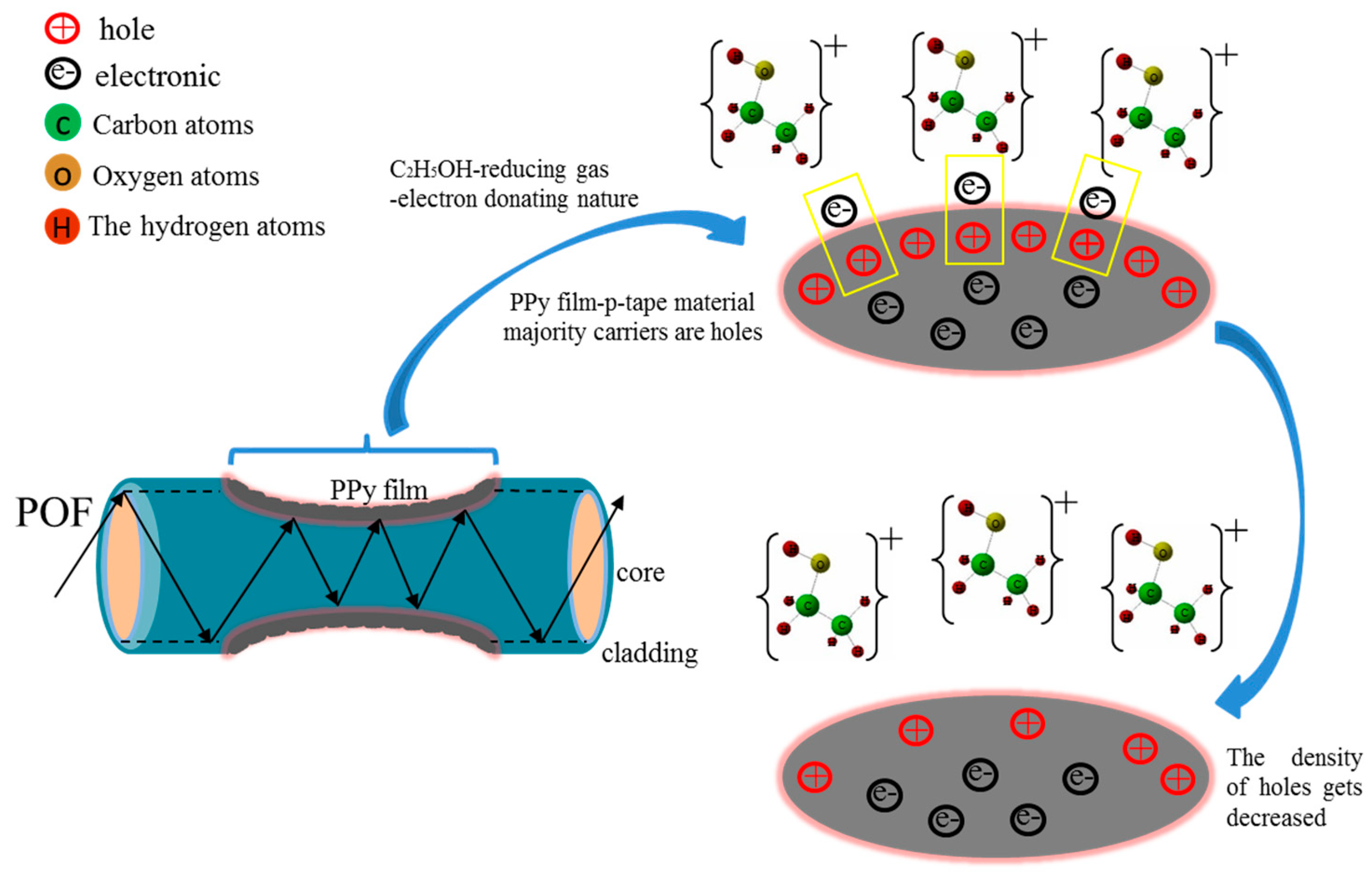 Sensors 20 00989 g001