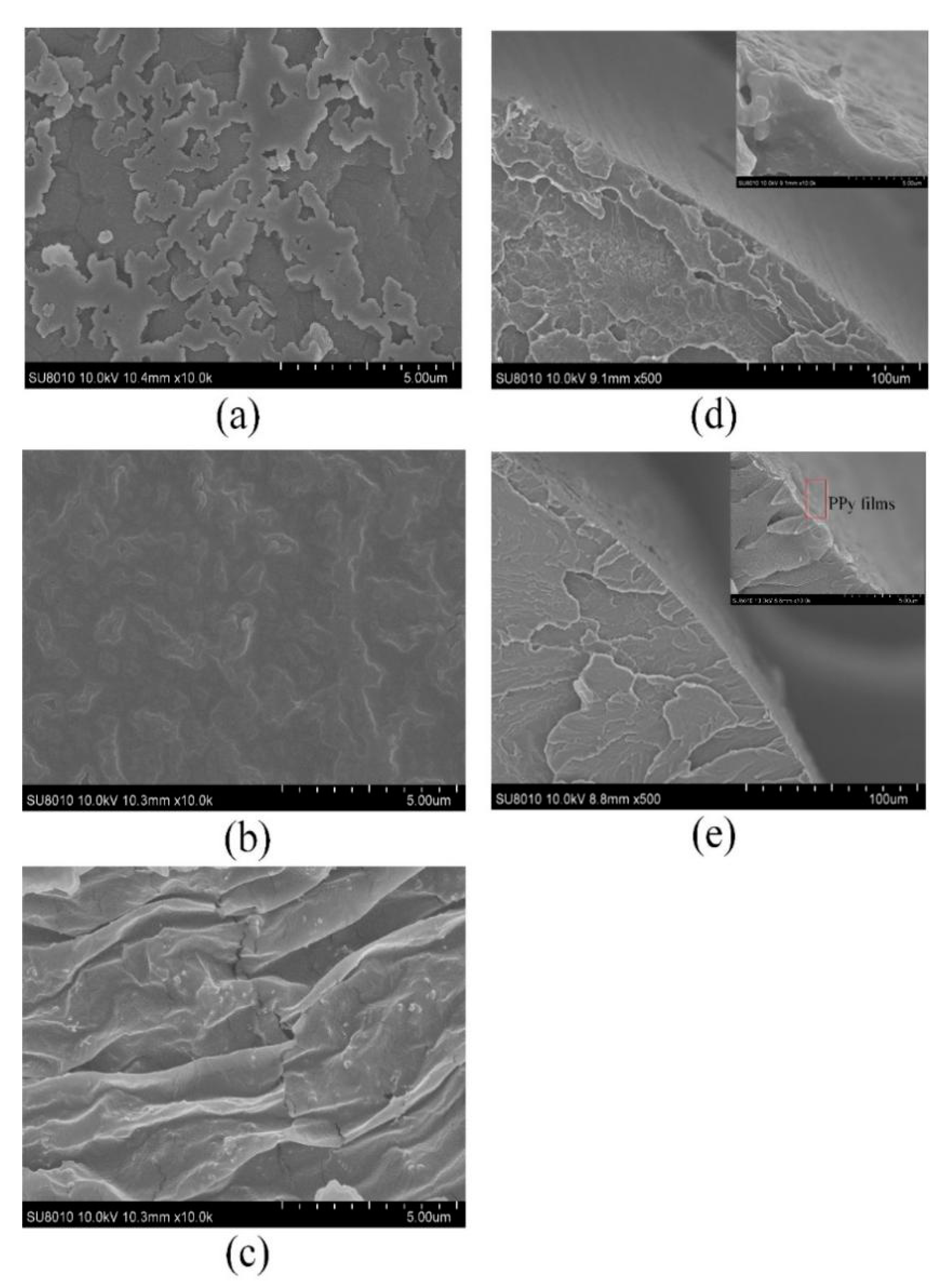 Sensors 20 00989 g005