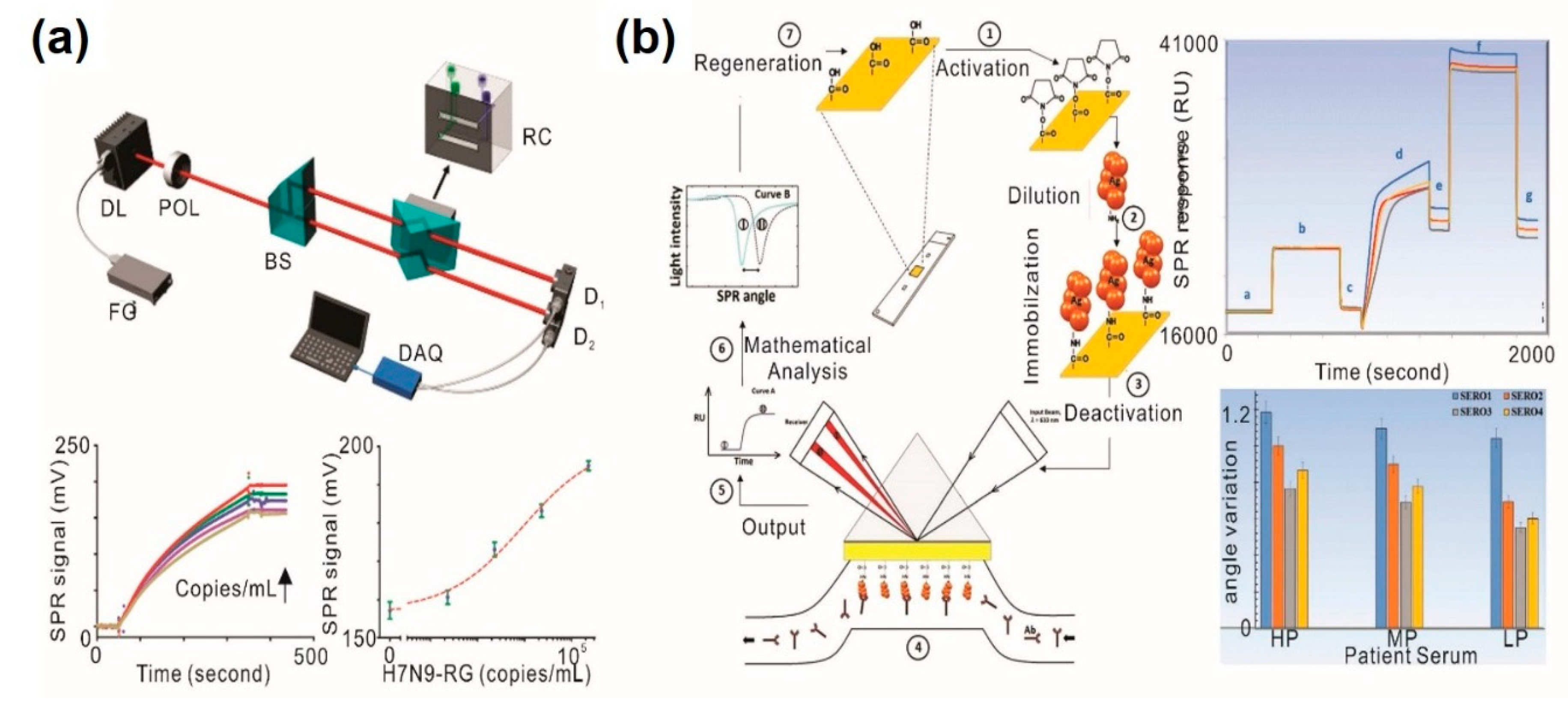 Sensors 20 01003 g003 Sensors 20 01003 g003
