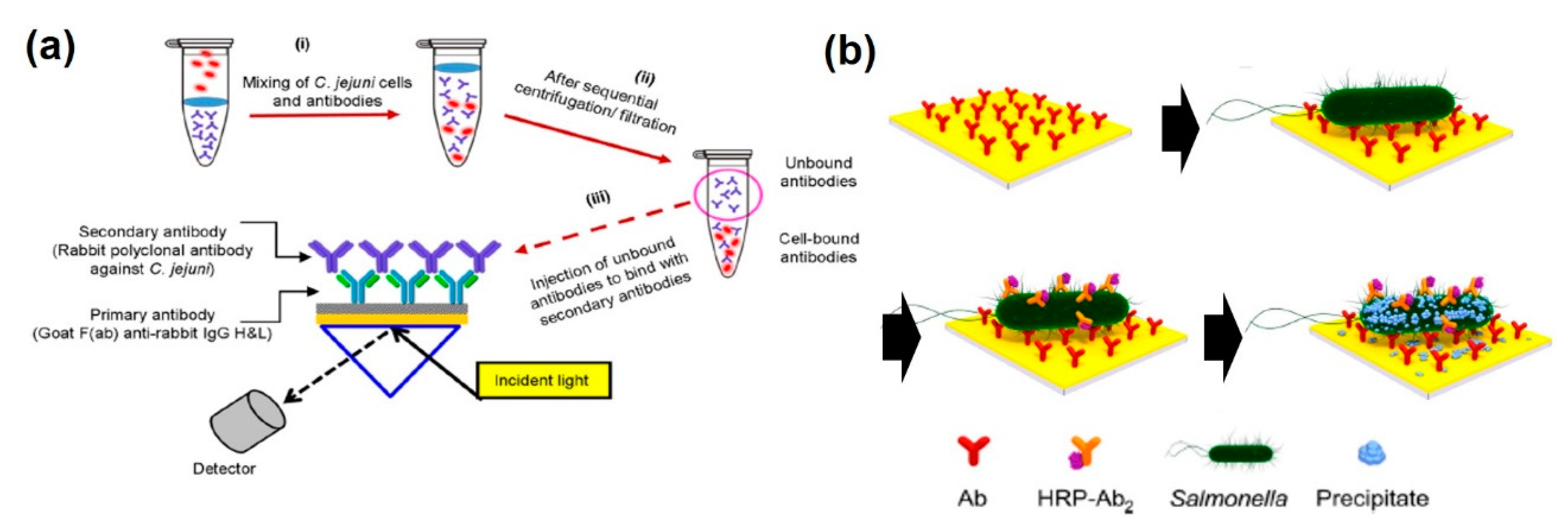 Sensors 20 01003 g005 Sensors 20 01003 g005