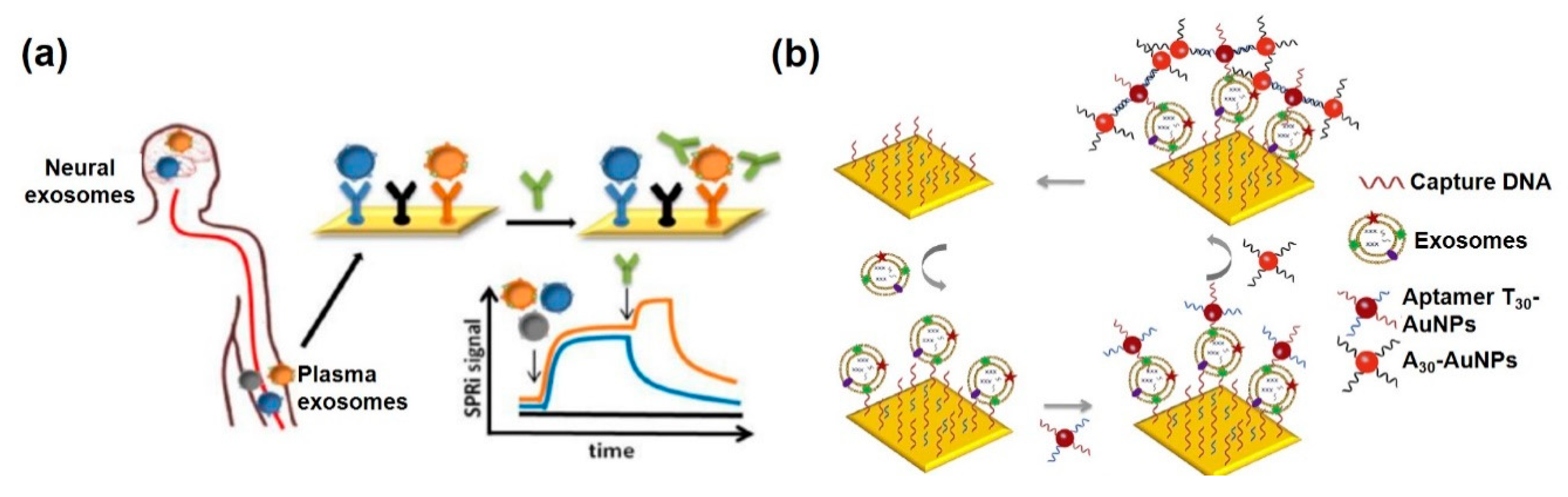 Sensors 20 01003 g007 Sensors 20 01003 g007