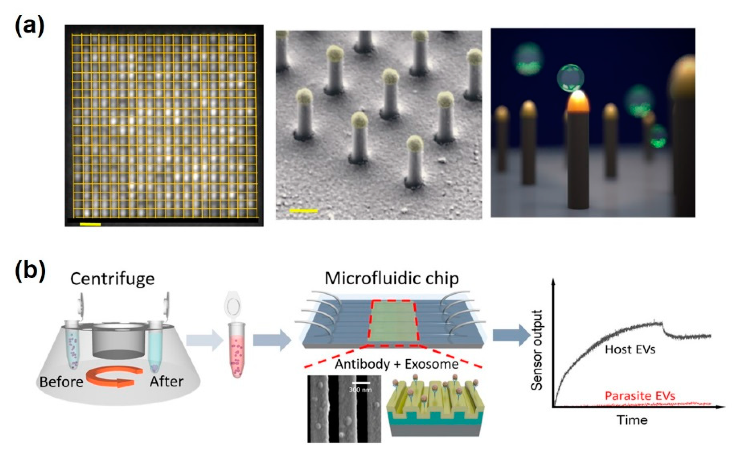 Sensors 20 01003 g008 Sensors 20 01003 g008