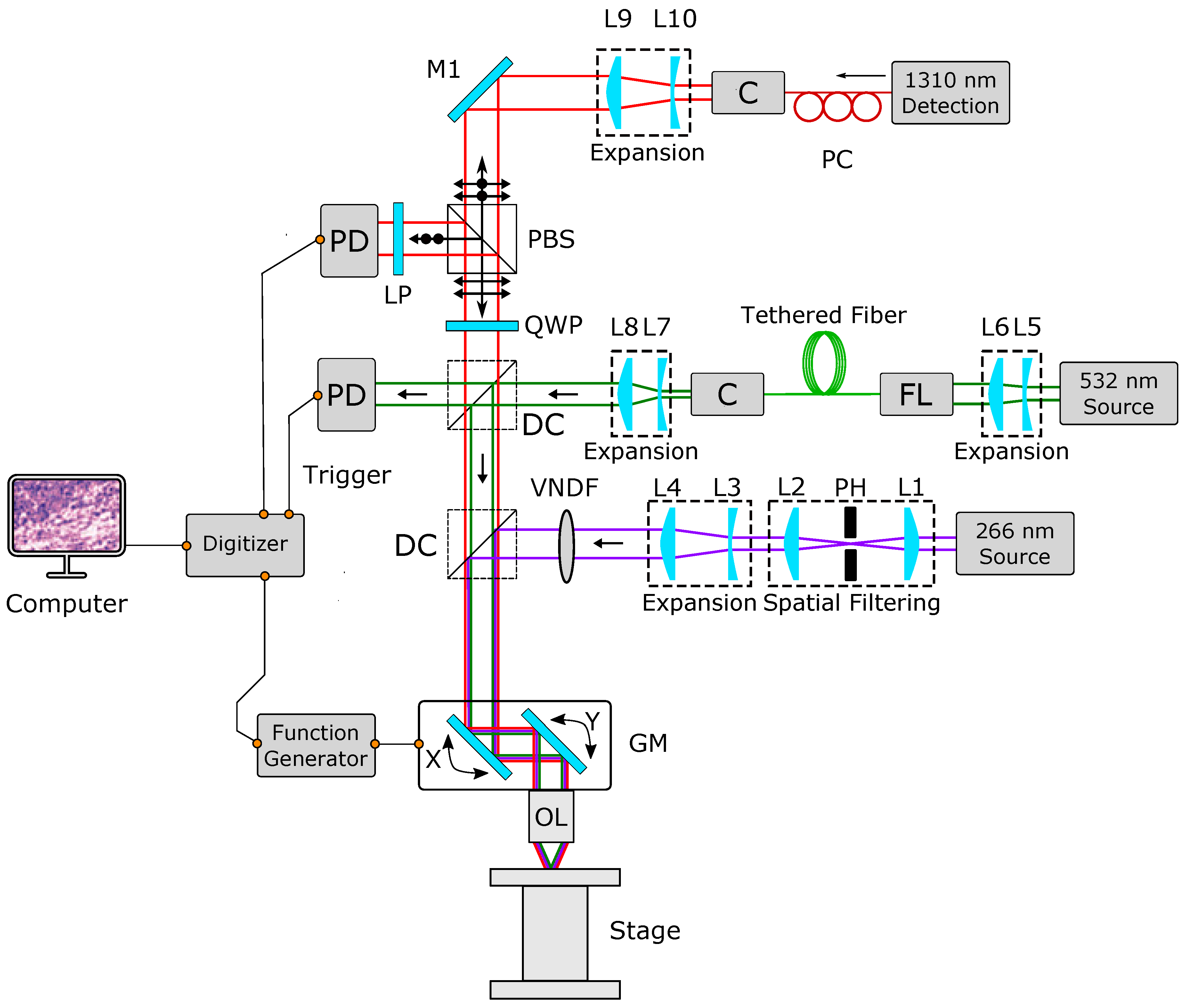 Sensors 20 01027 g001