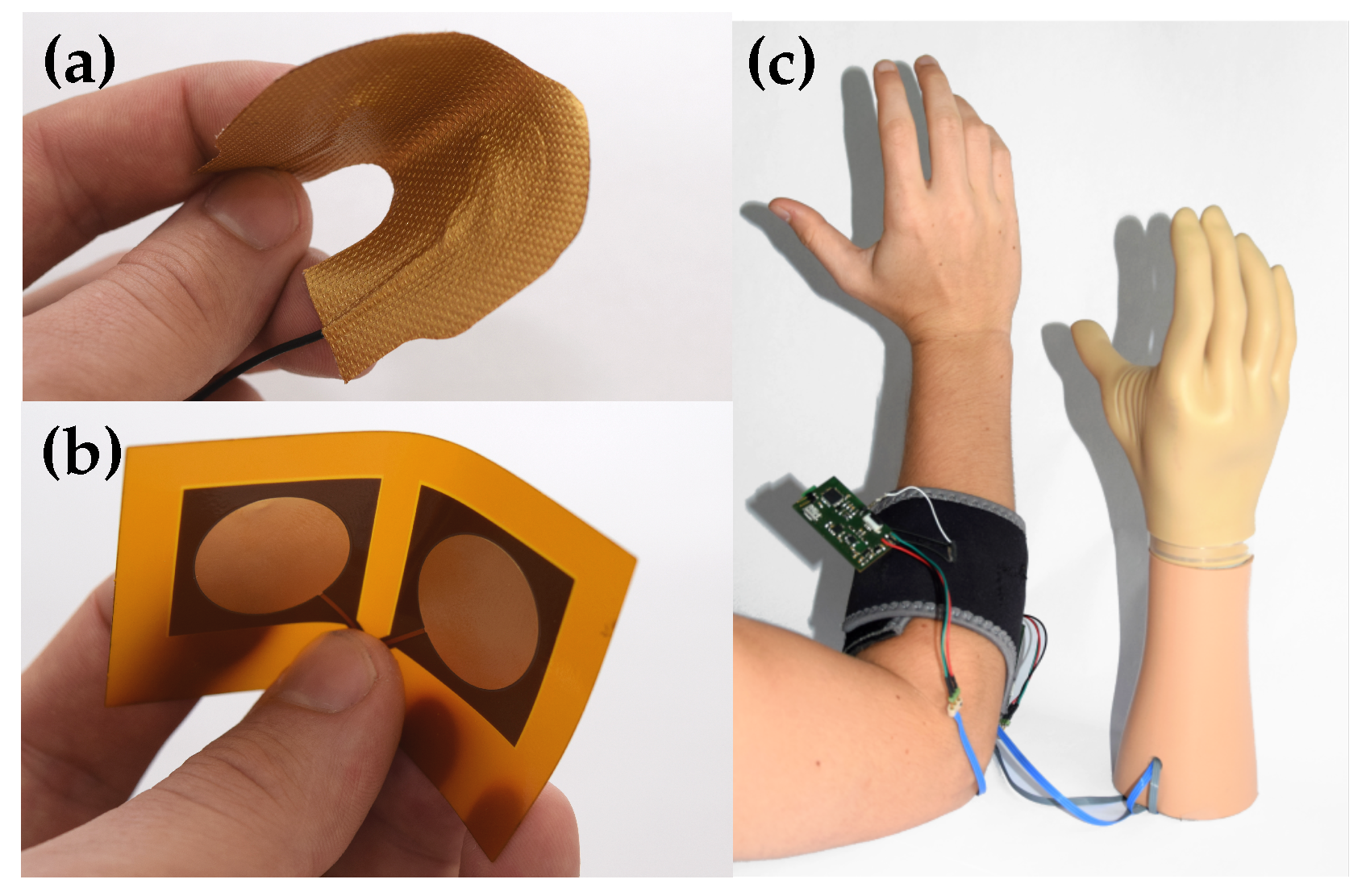 Sensors 20 01031 g003