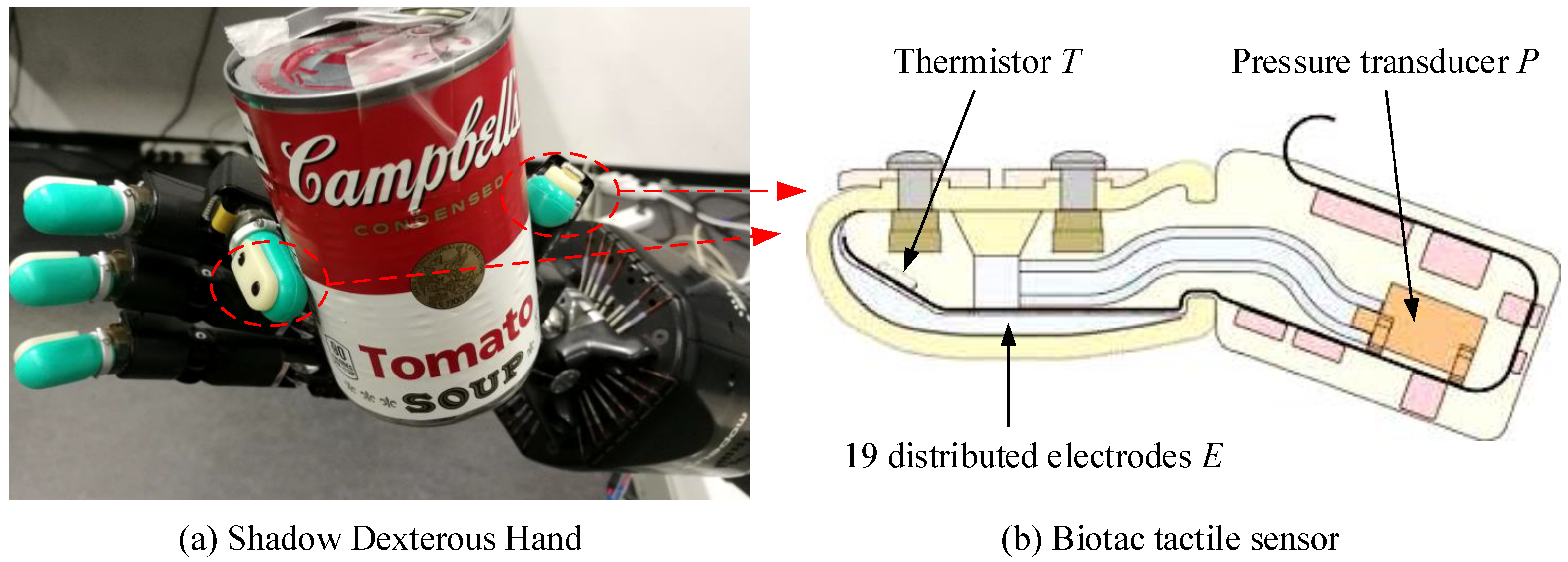 Sensors 20 01050 g002