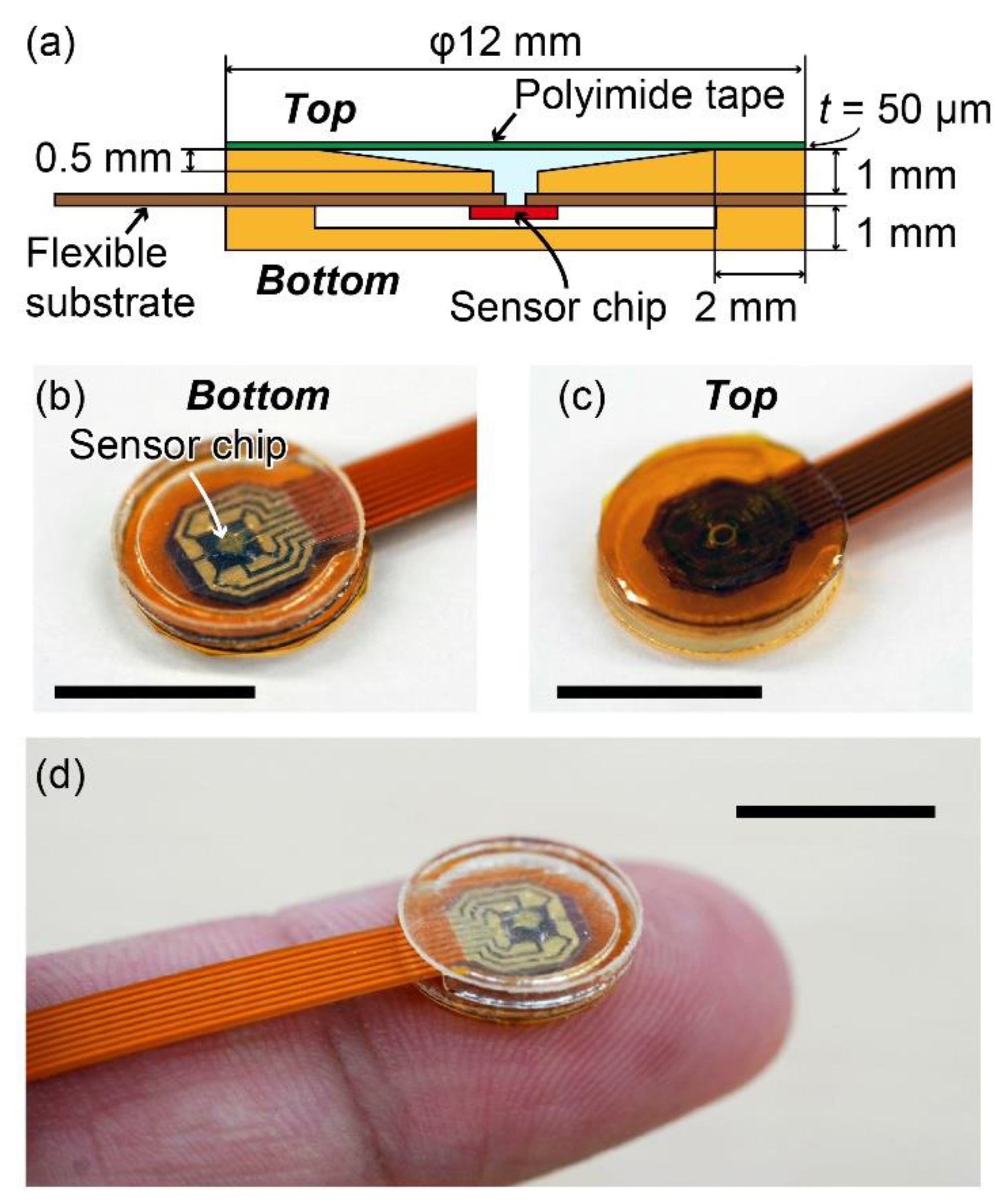 Sensors 20 01052 g003 Sensors 20 01052 g003