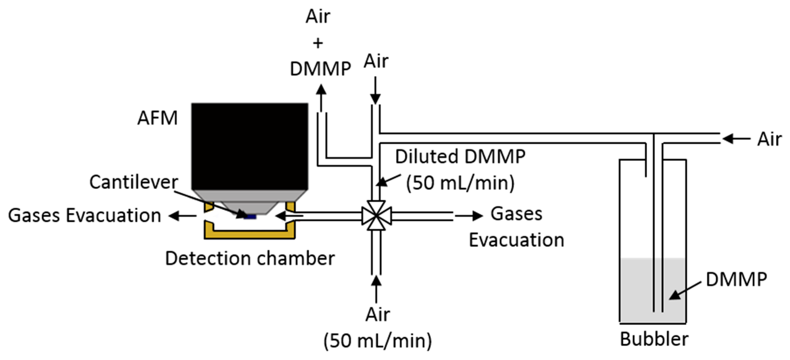 Sensors 20 01061 g001