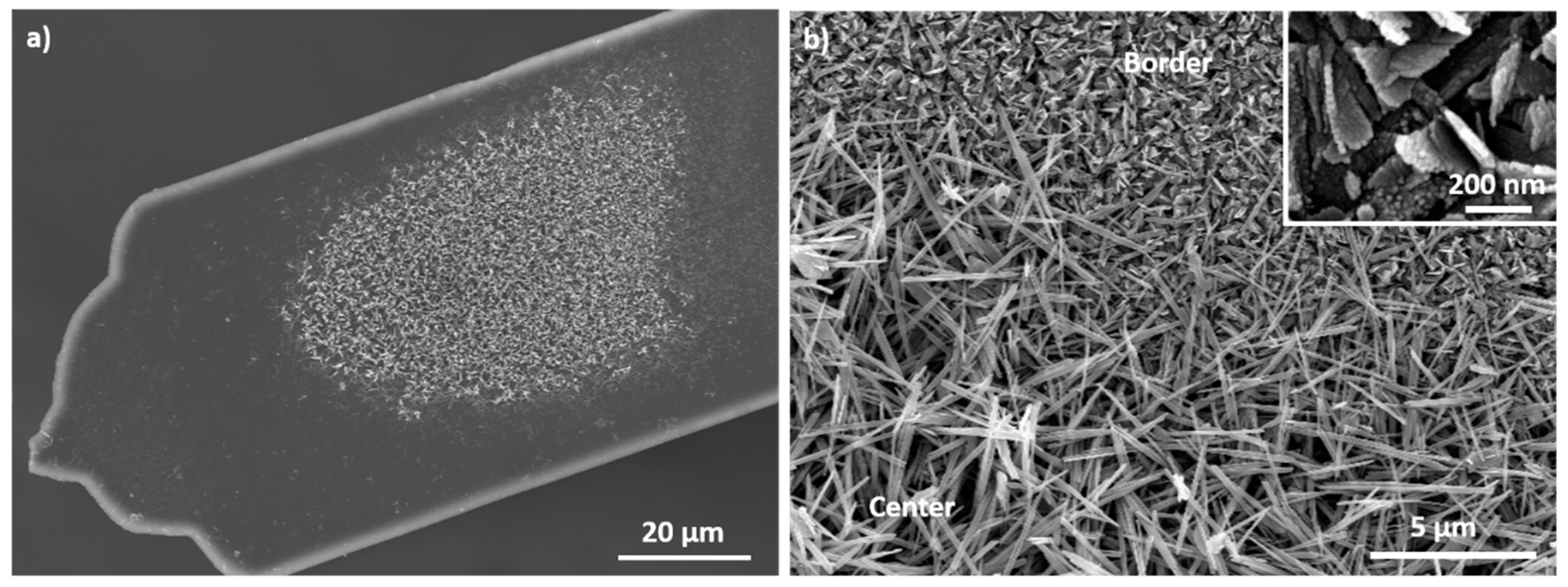 Sensors 20 01061 g002