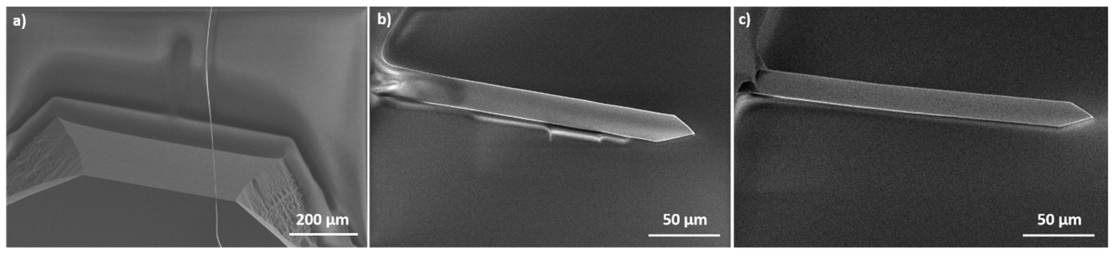 Sensors 20 01061 g004