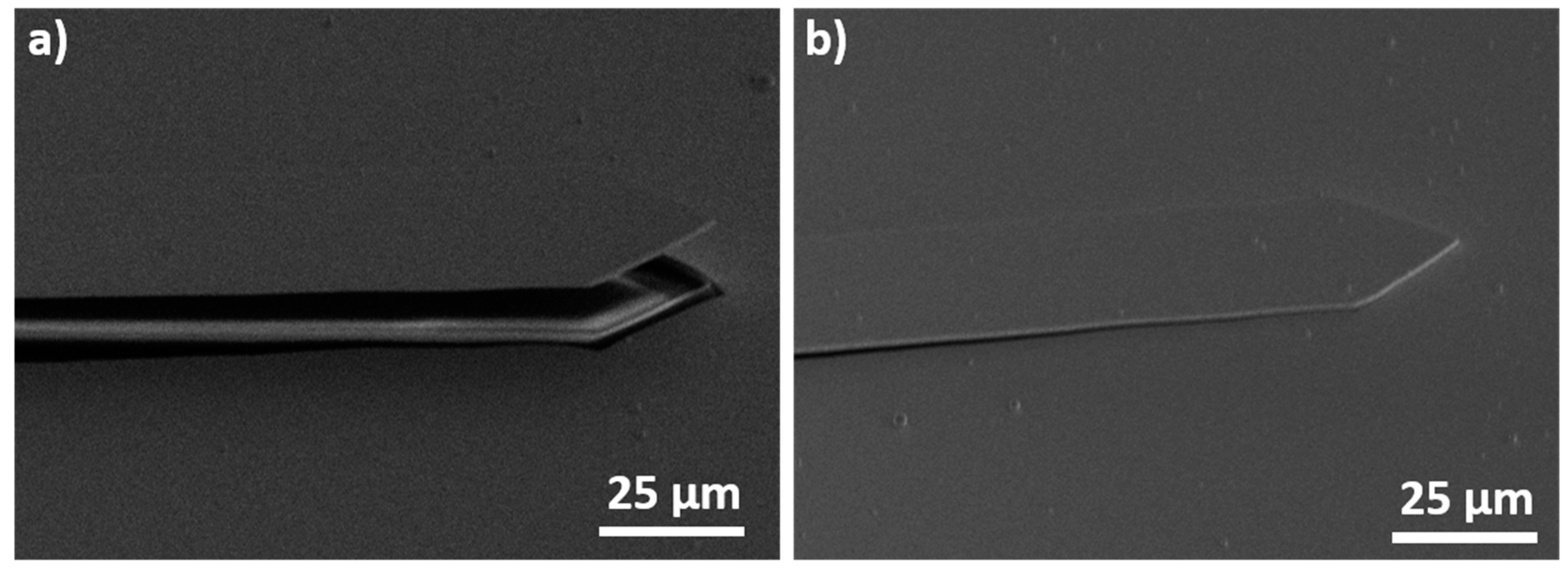 Sensors 20 01061 g005