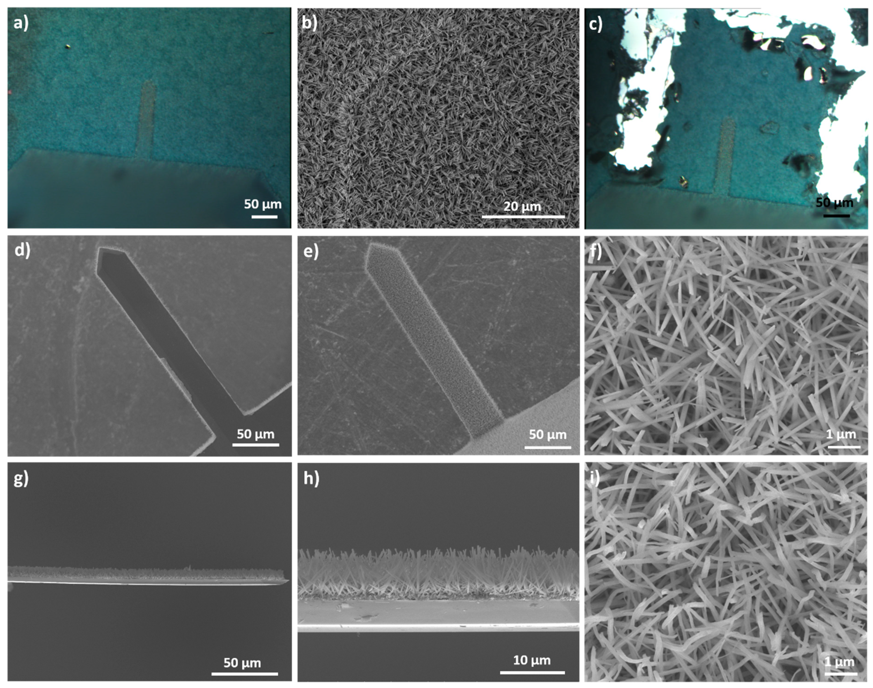 Sensors 20 01061 g006