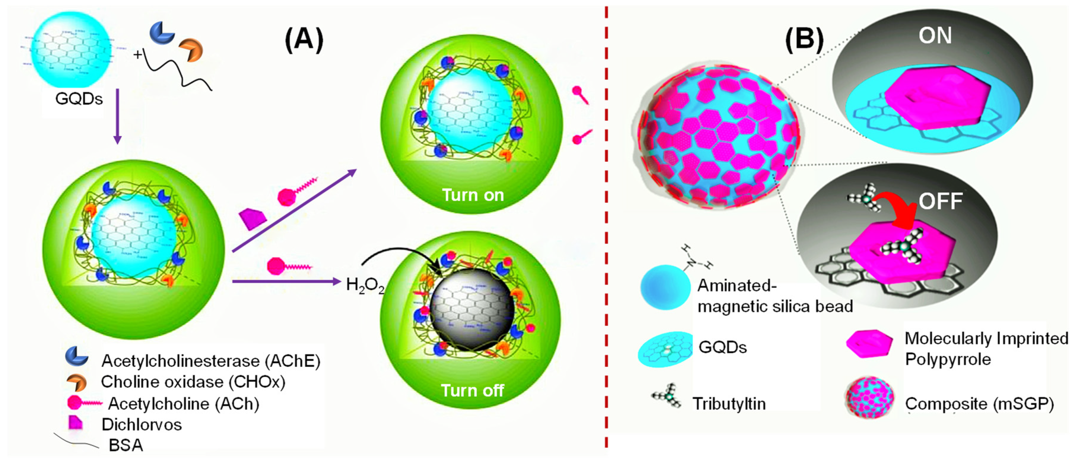 Sensors 20 01072 g005