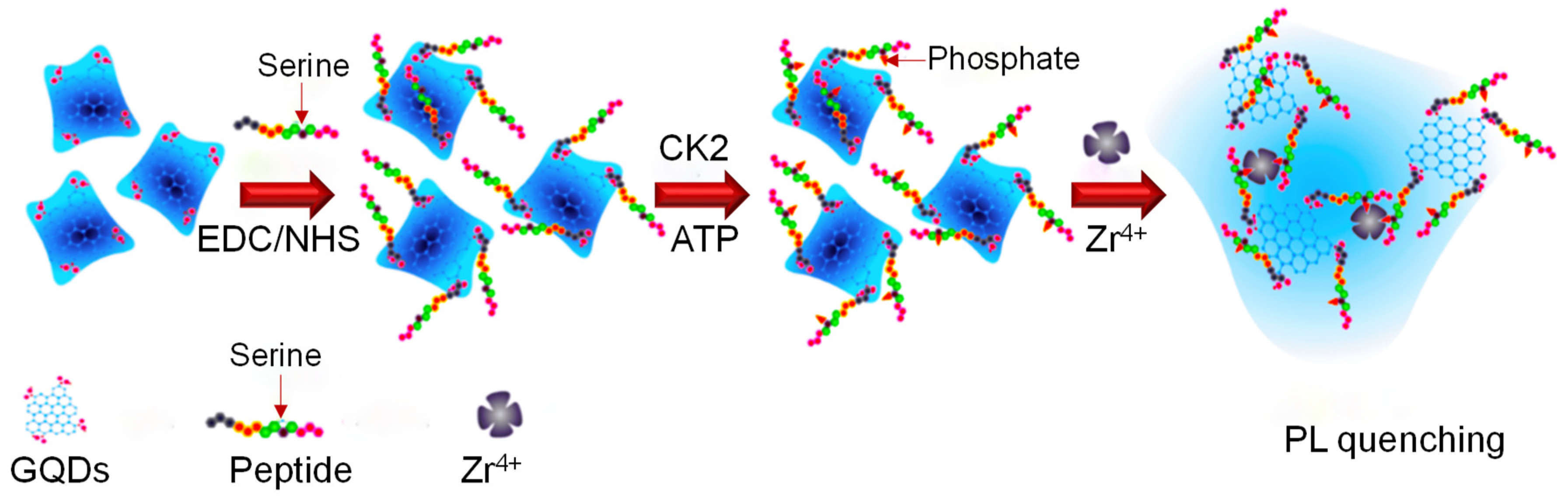 Sensors 20 01072 g006