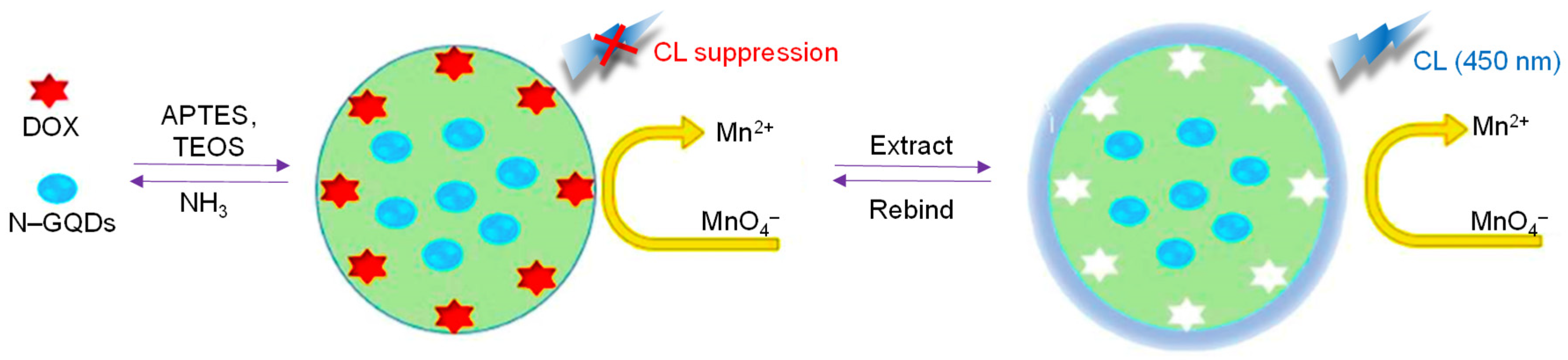 Sensors 20 01072 g008